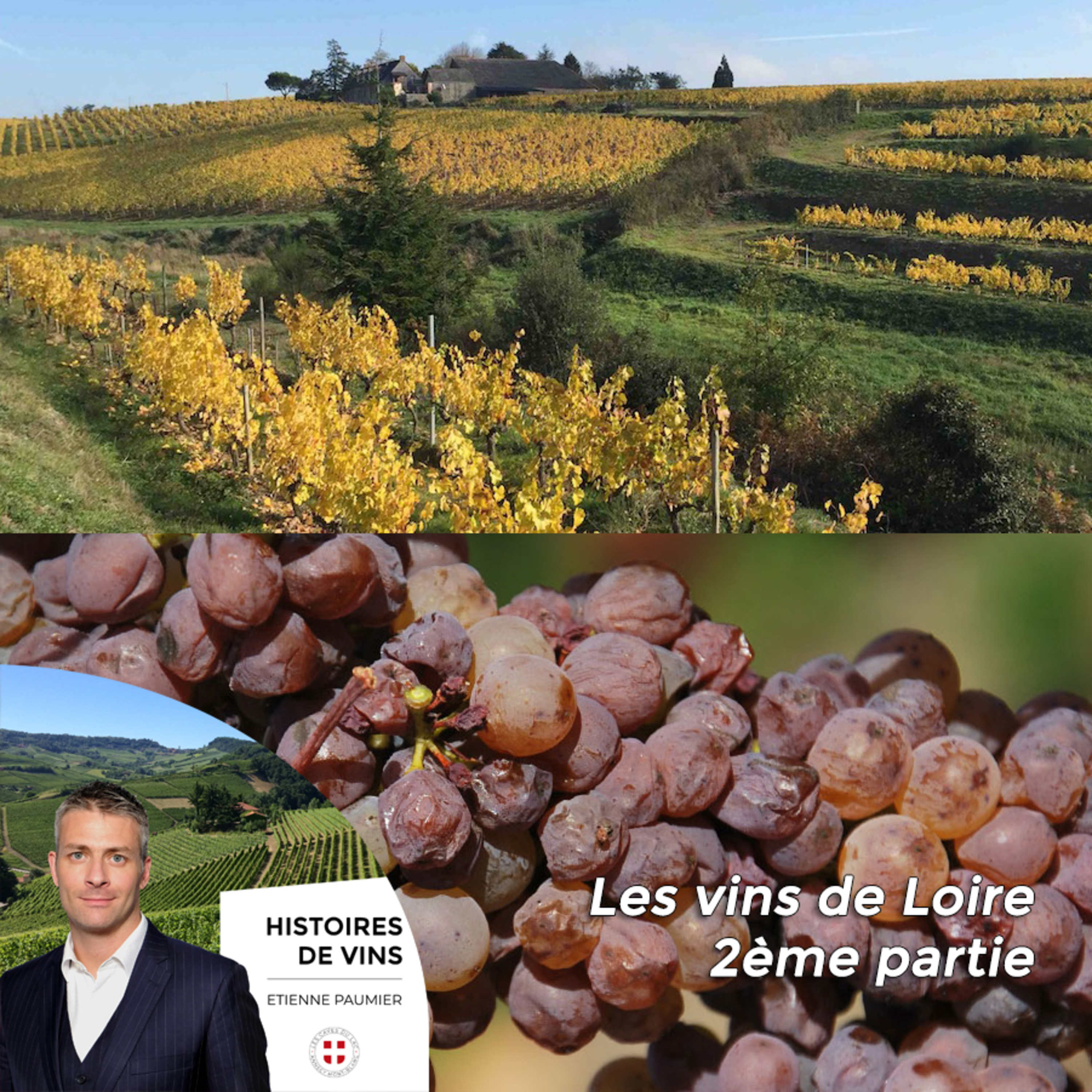 Histoires de vins