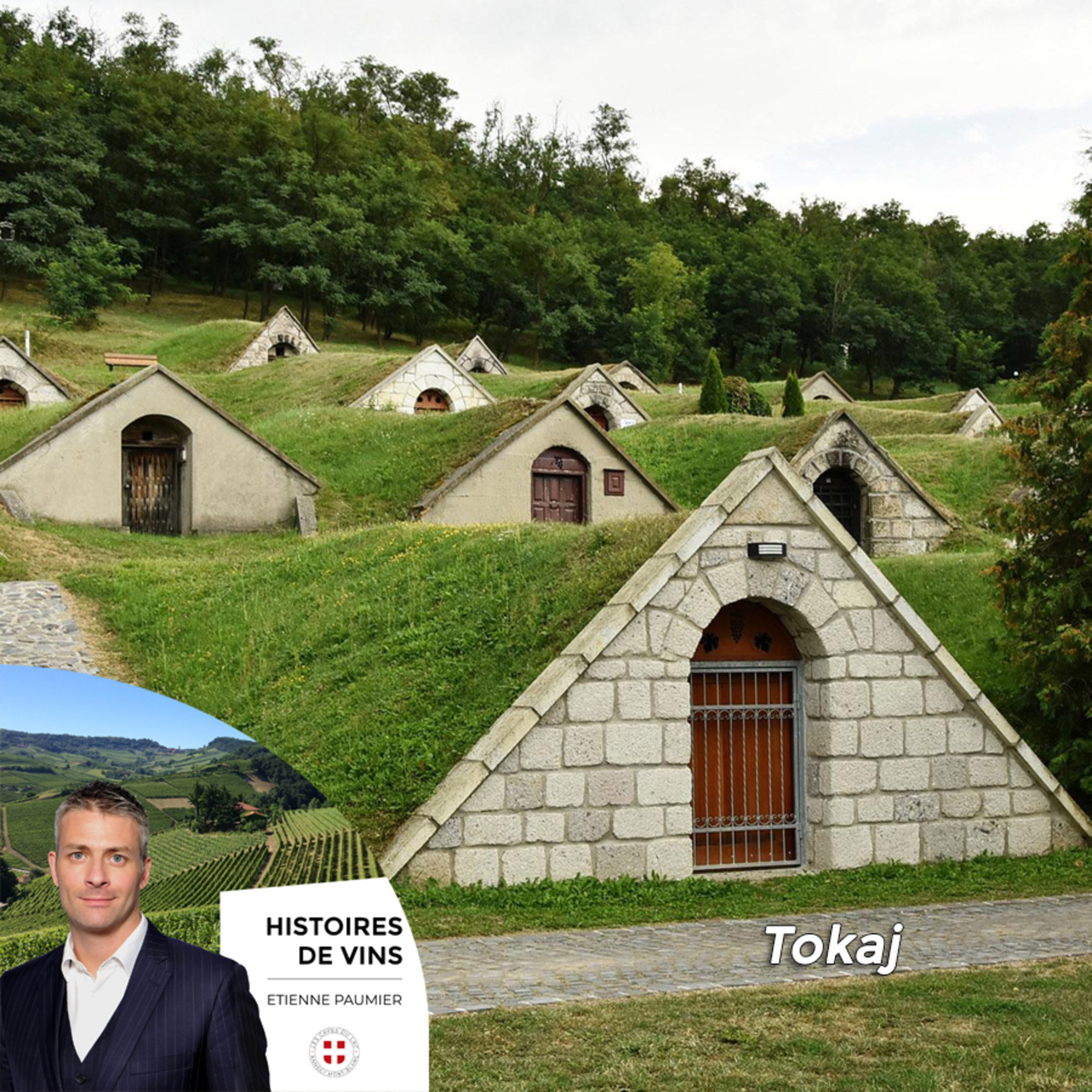Histoires de vins