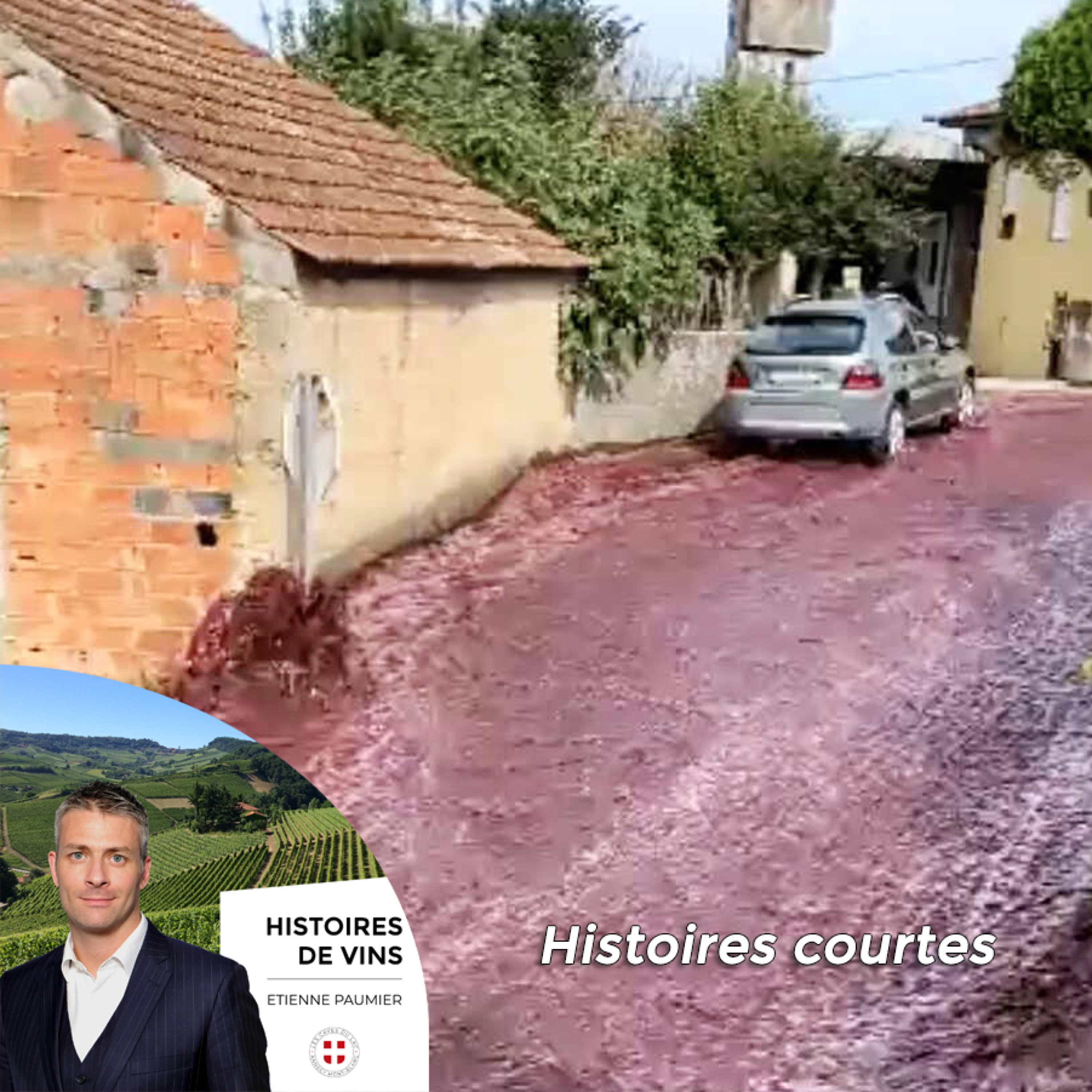 Histoires de vins