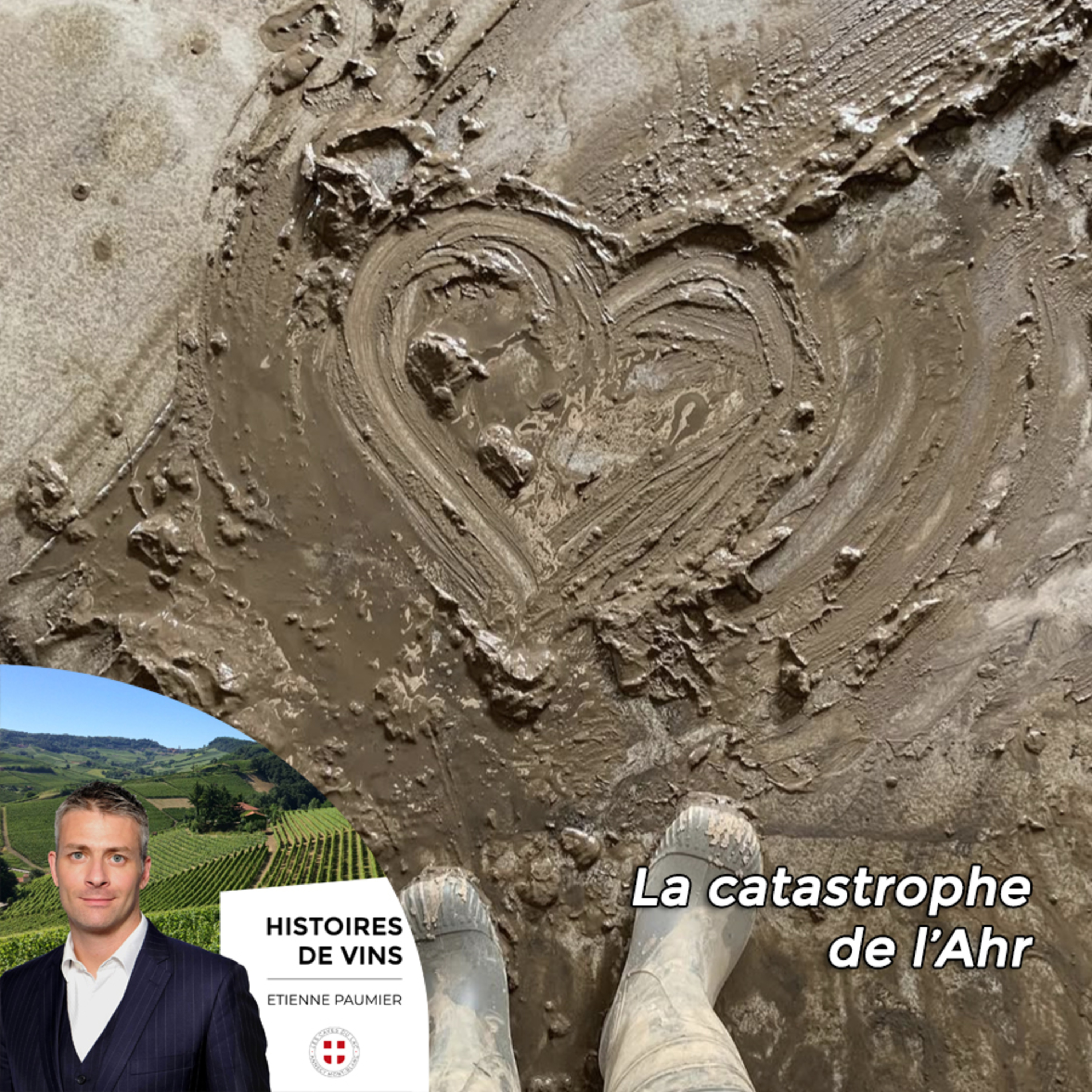 Histoires de vins