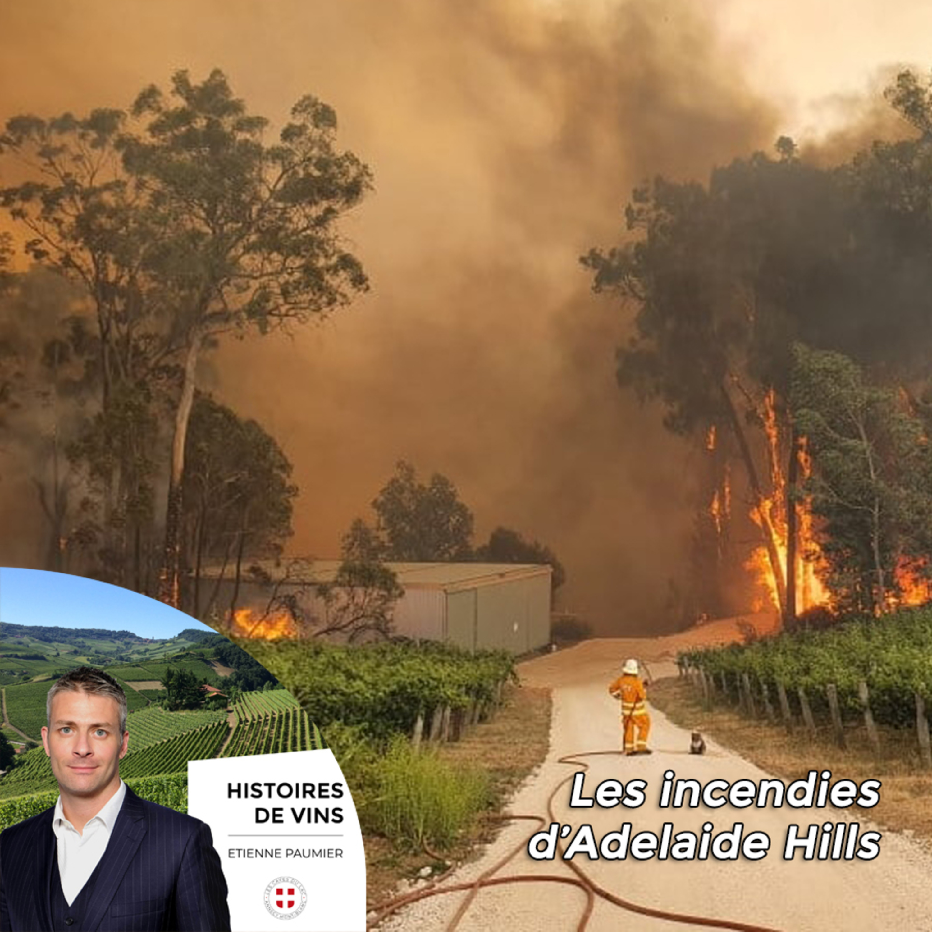 Histoires de vins - S3E5 - Les incendies d'Adelaide Hills