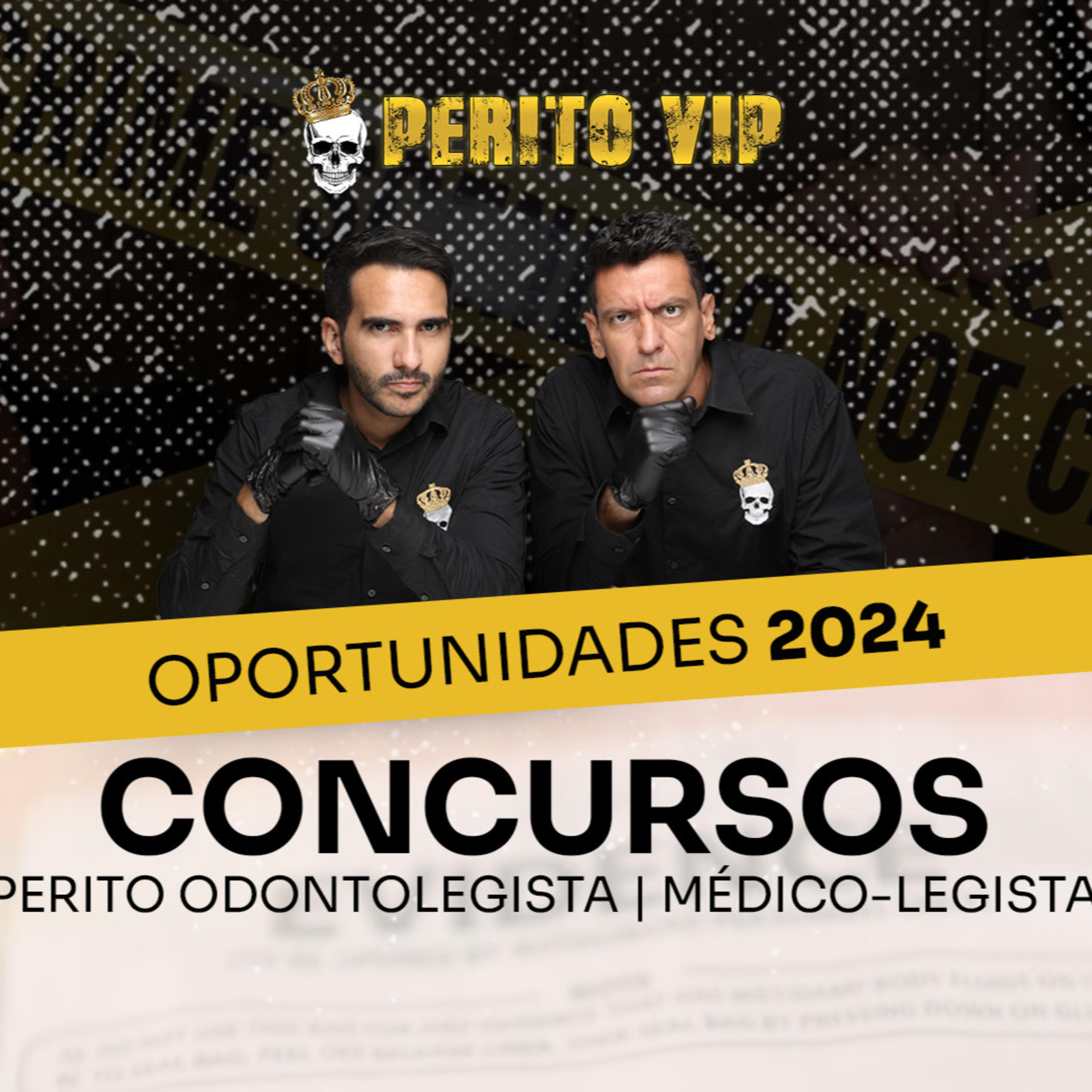 Ep. 018 - As Oportunidades da Área Pericial de 2024 | Perito VIP Talks episode artwork