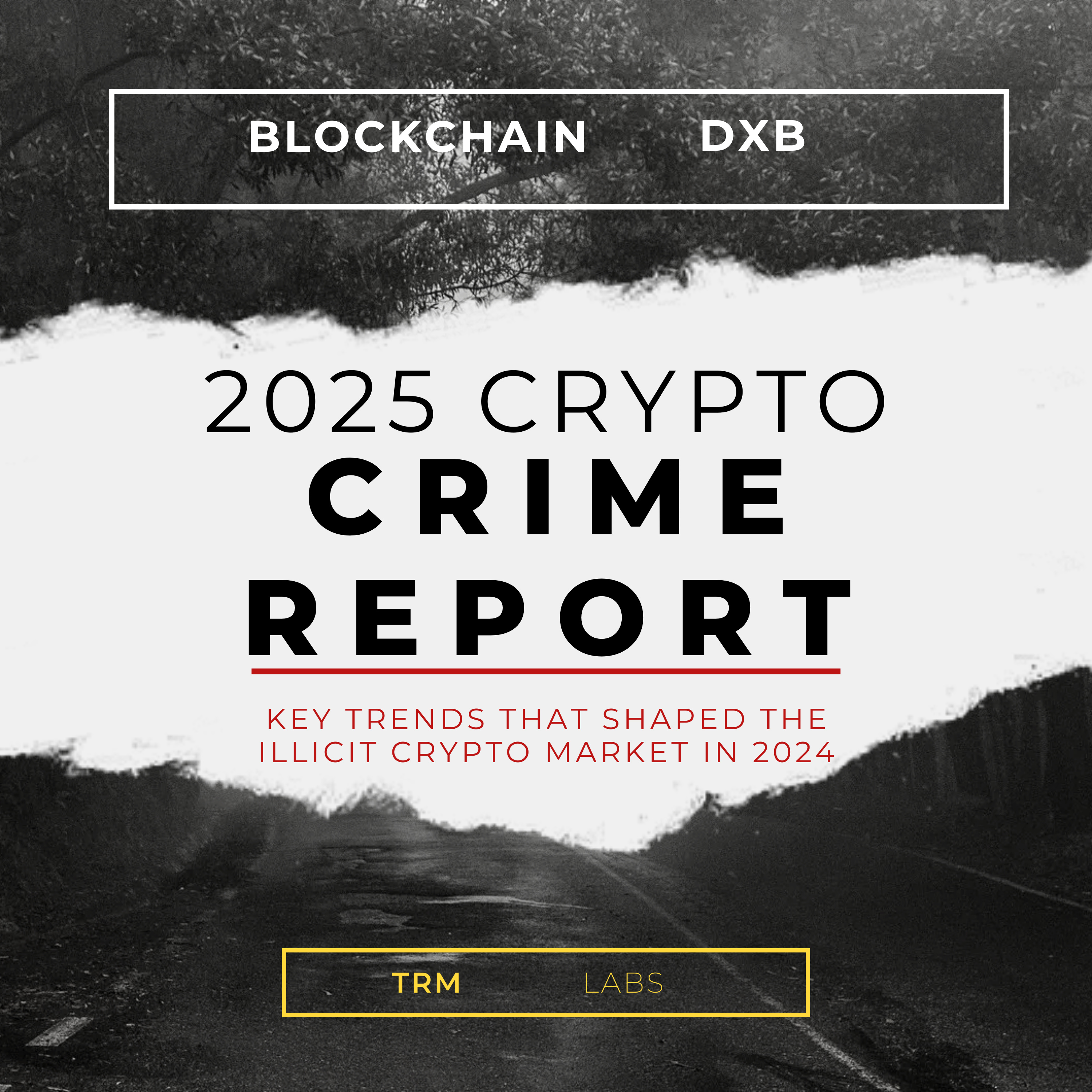 cover of episode ⭕Deep Dive into the TRM Labs 2025 Crypto Crime Report ⭕ AI Series by Blockchain DXB ⚫