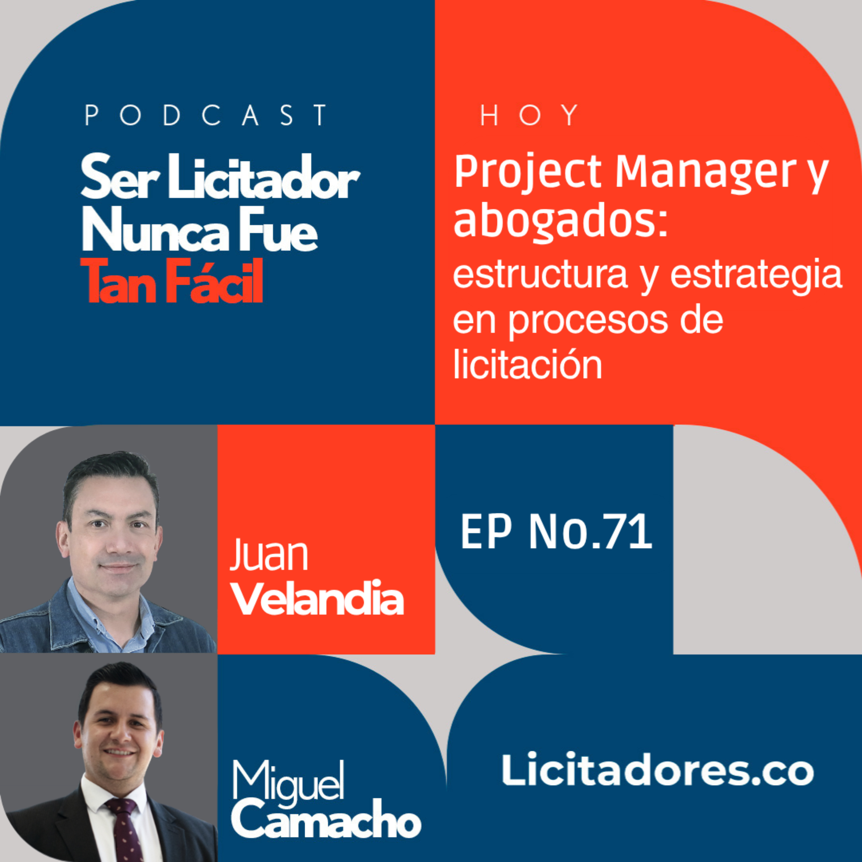No. 71 - Project Manager y abogados: estructura y estrategia en procesos de licitación episode artwork