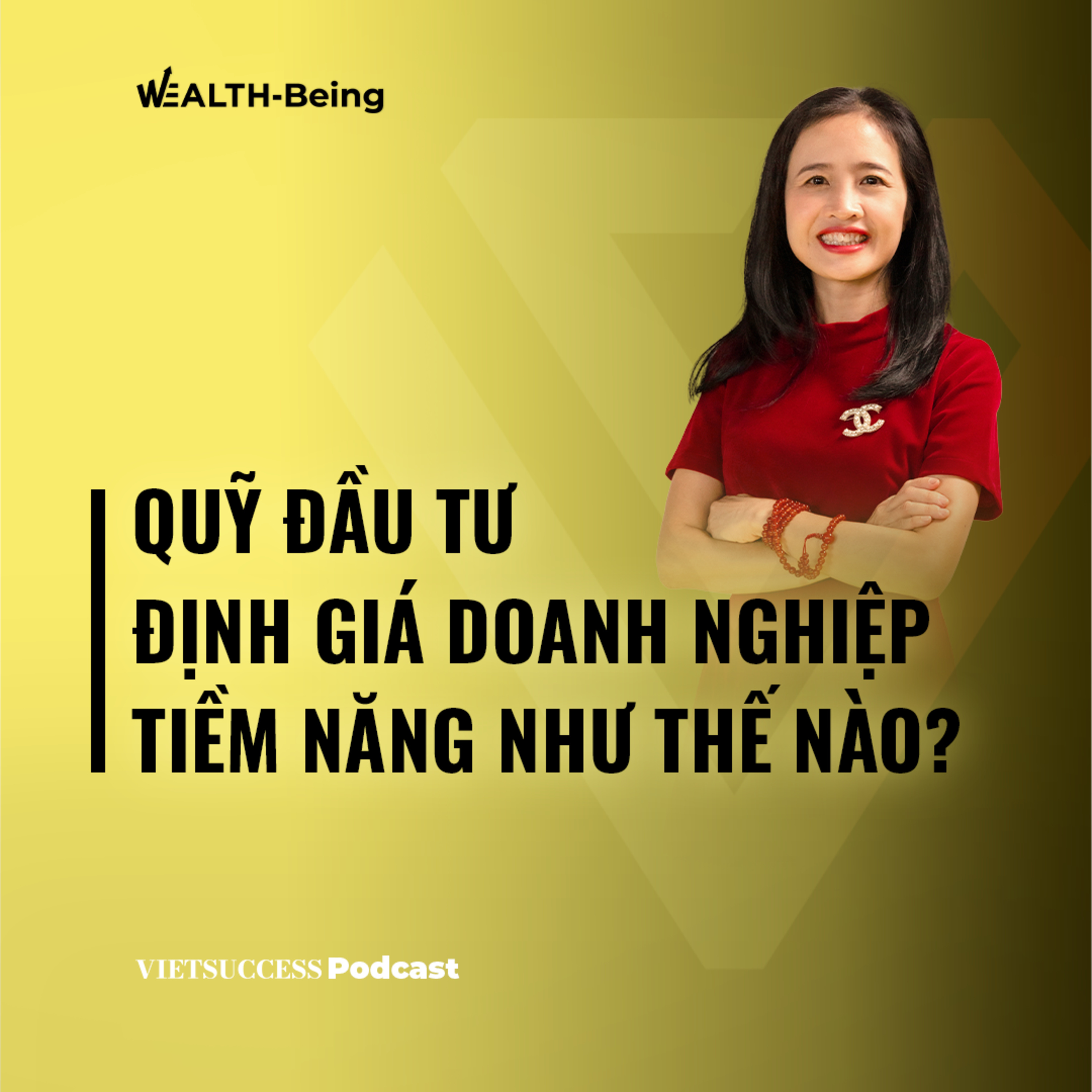 Wealth-Being #10 I Quỹ đầu tư định giá doanh nghiệp tiềm năng như thế nào?I Minh Loan, VinaCapital
