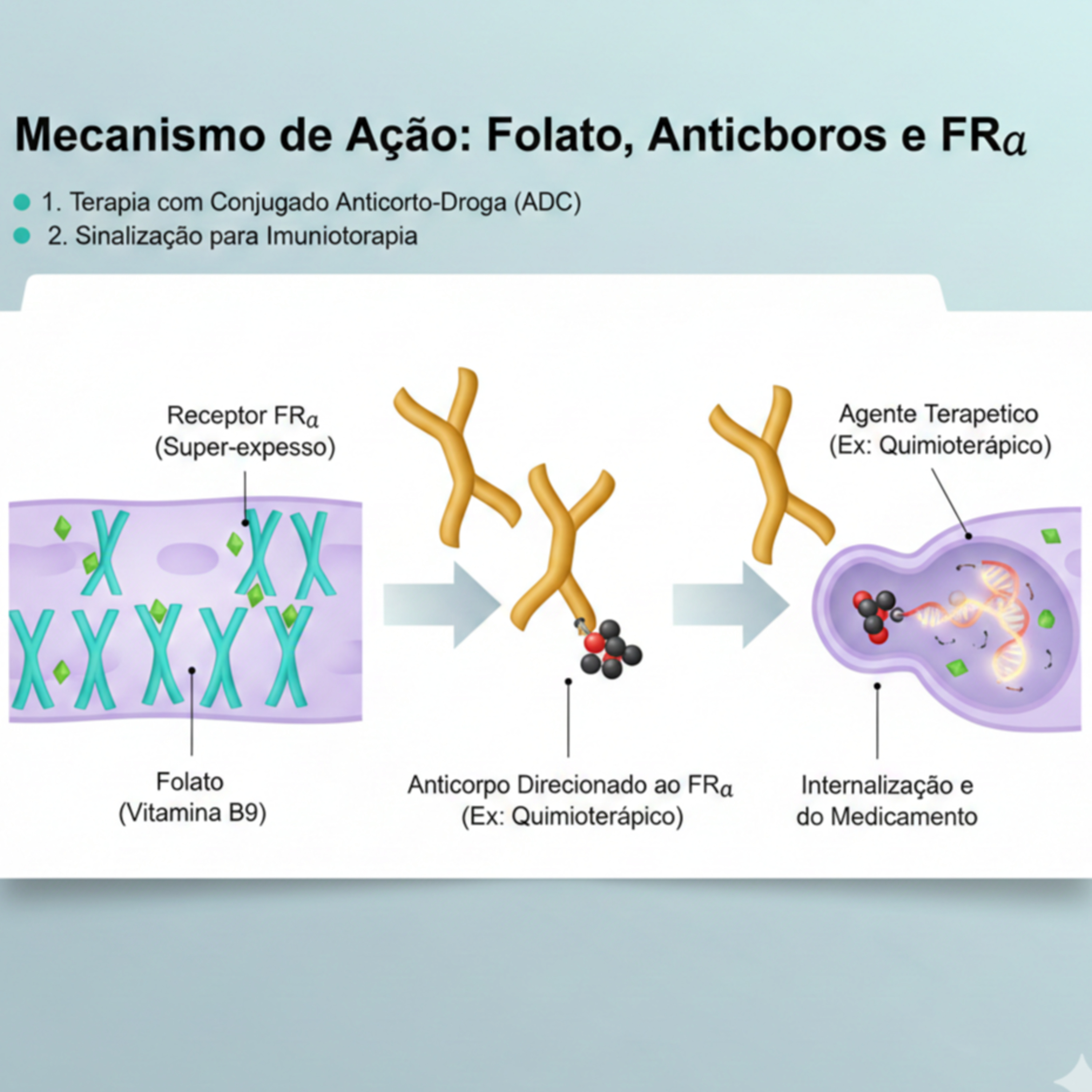 Autismo e Folato: Temos uma terapia? PARTE 4 Ciclo do Folato e Autoanticorpo. episode artwork