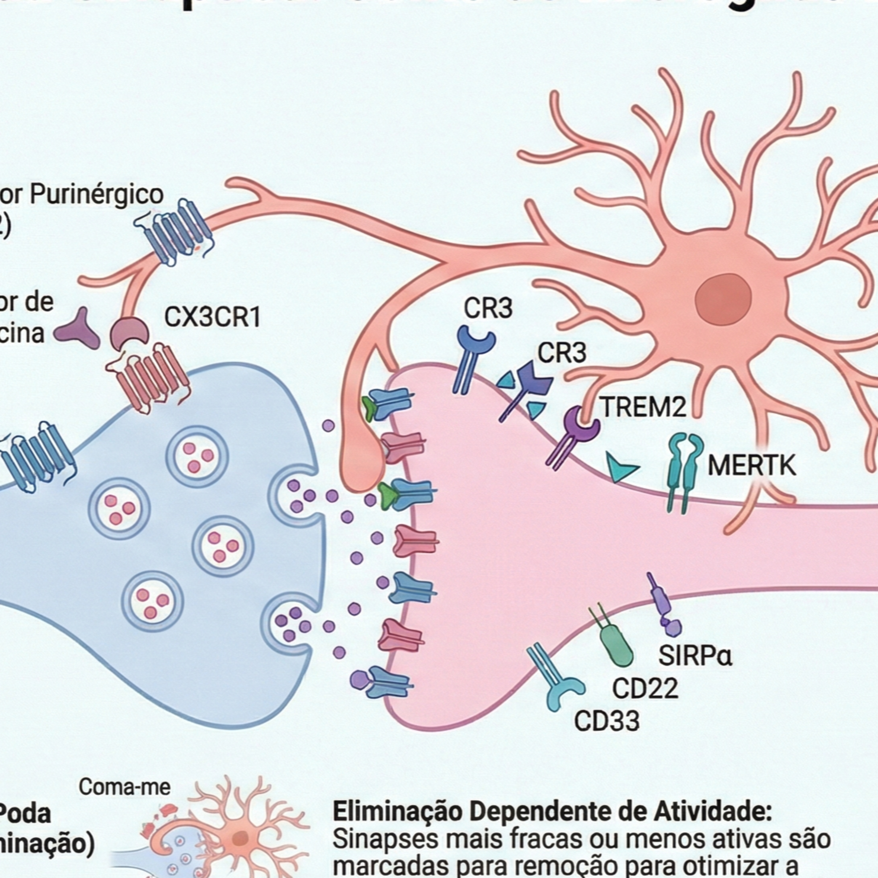 Poda Neuronal: Memória, Autismo, Alzheimer, ... episode artwork