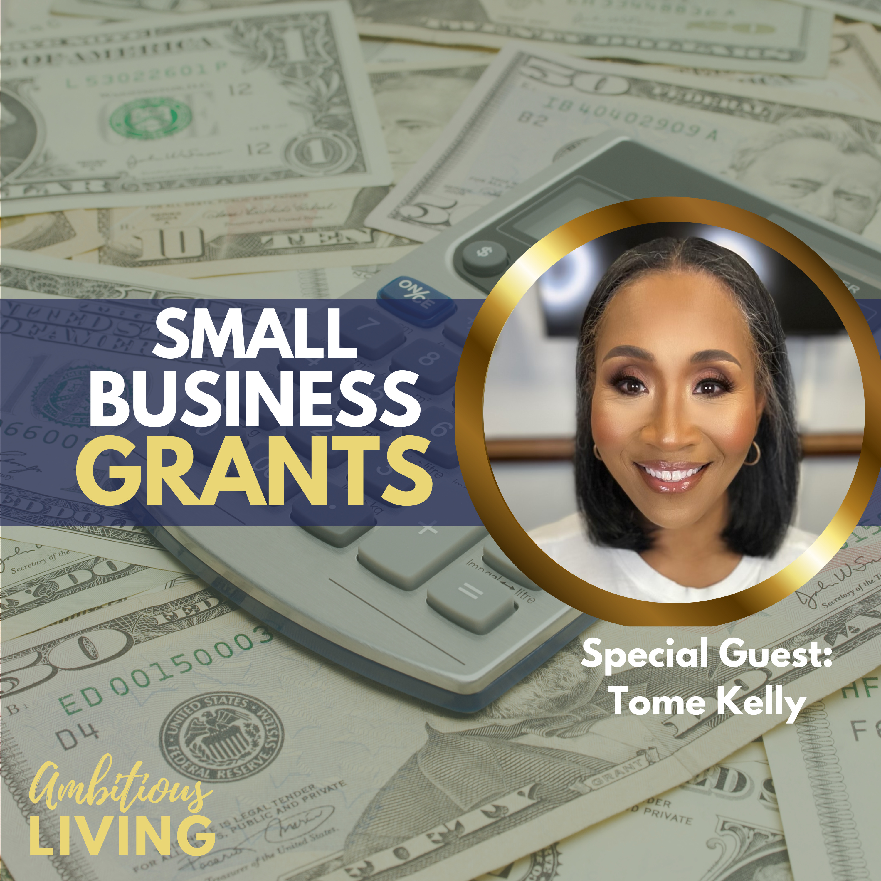 Small Business Grants Decoded: From Application to Approval episode artwork
