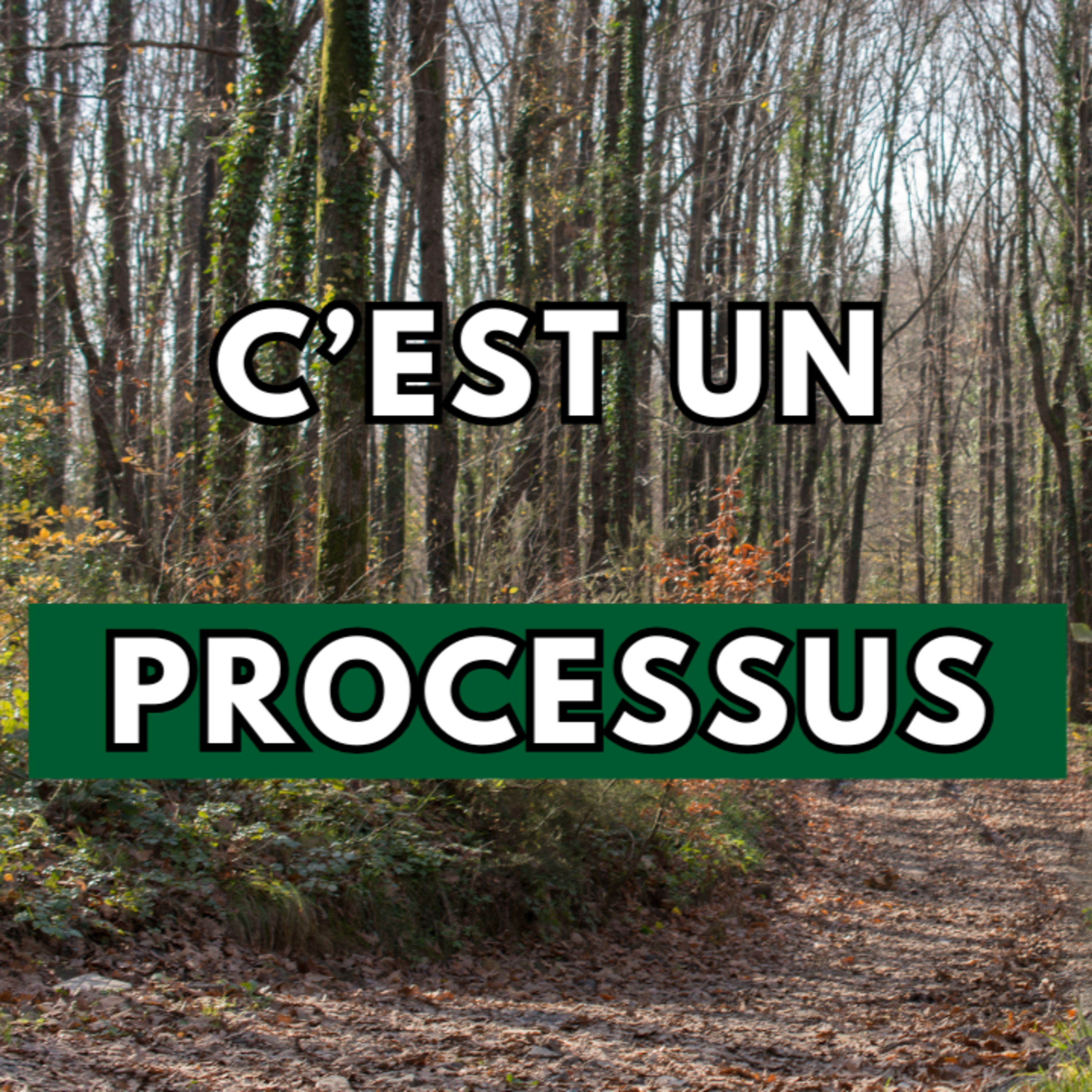 La guérison intérieure est un PROCESSUS episode artwork