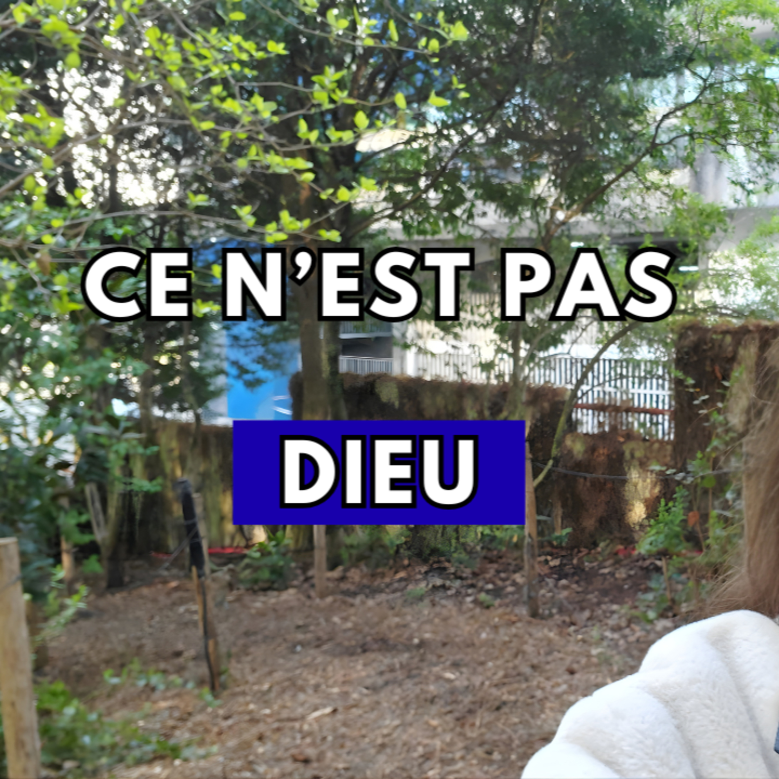 Se libérer de l'esprit d'accusation, et passer du perfectionisme à la grâce episode artwork