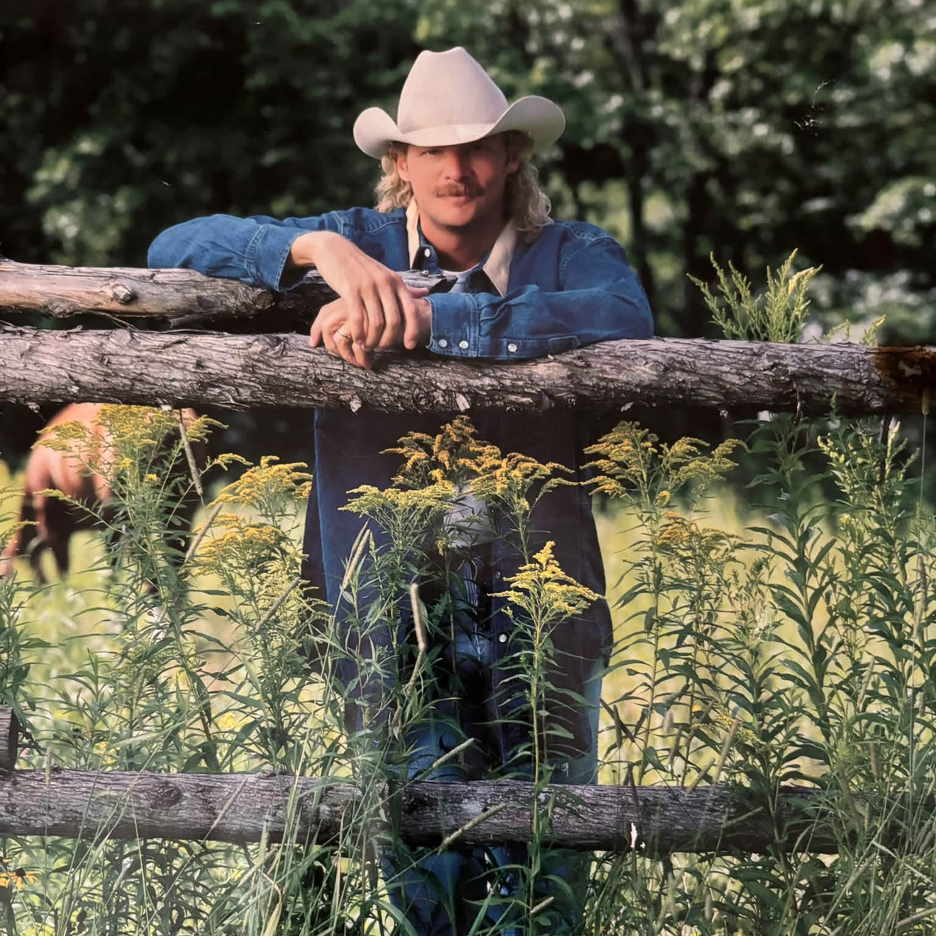 Alan Jackson Part 2 episode artwork
