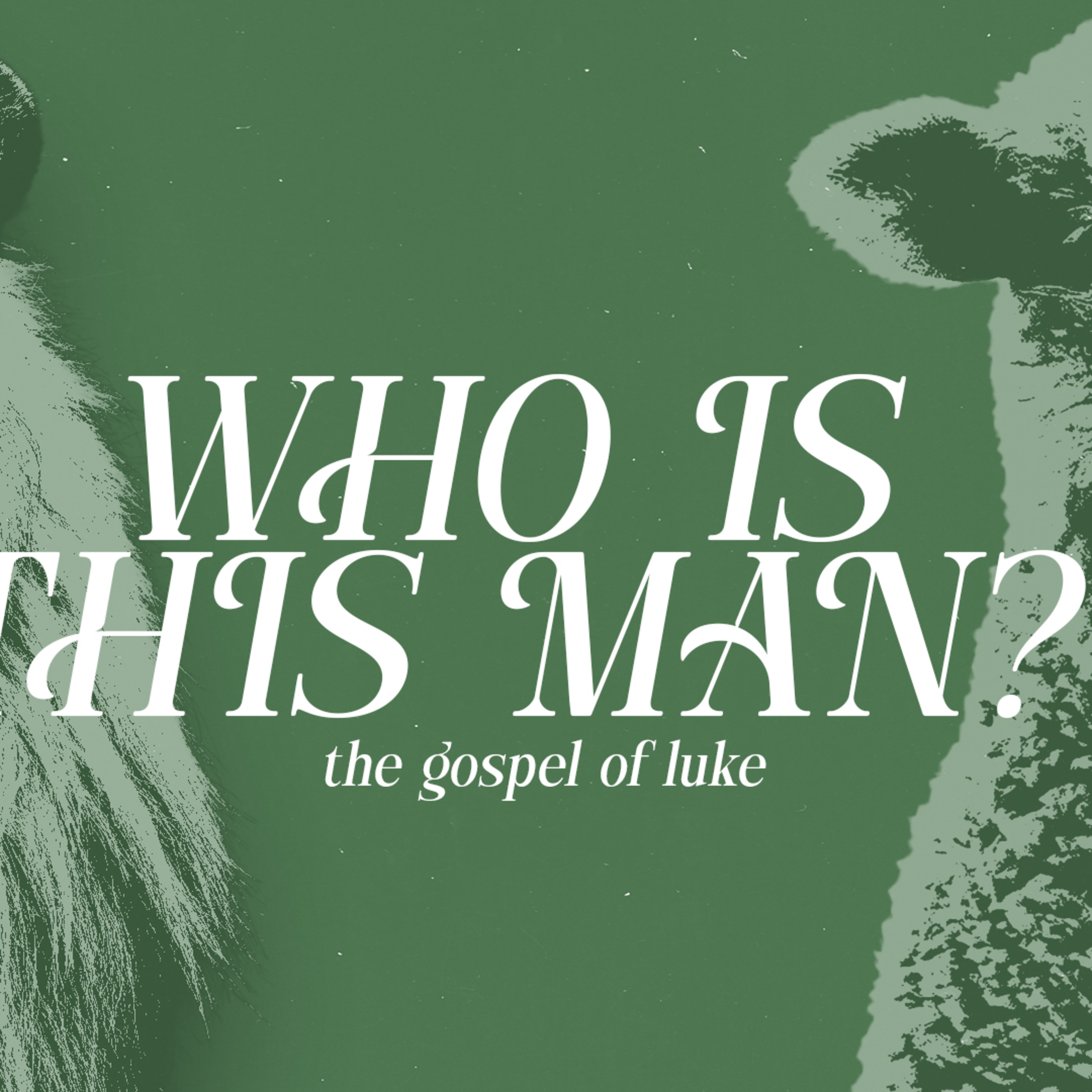 Who Is This Man ? | Brad Nelson episode artwork