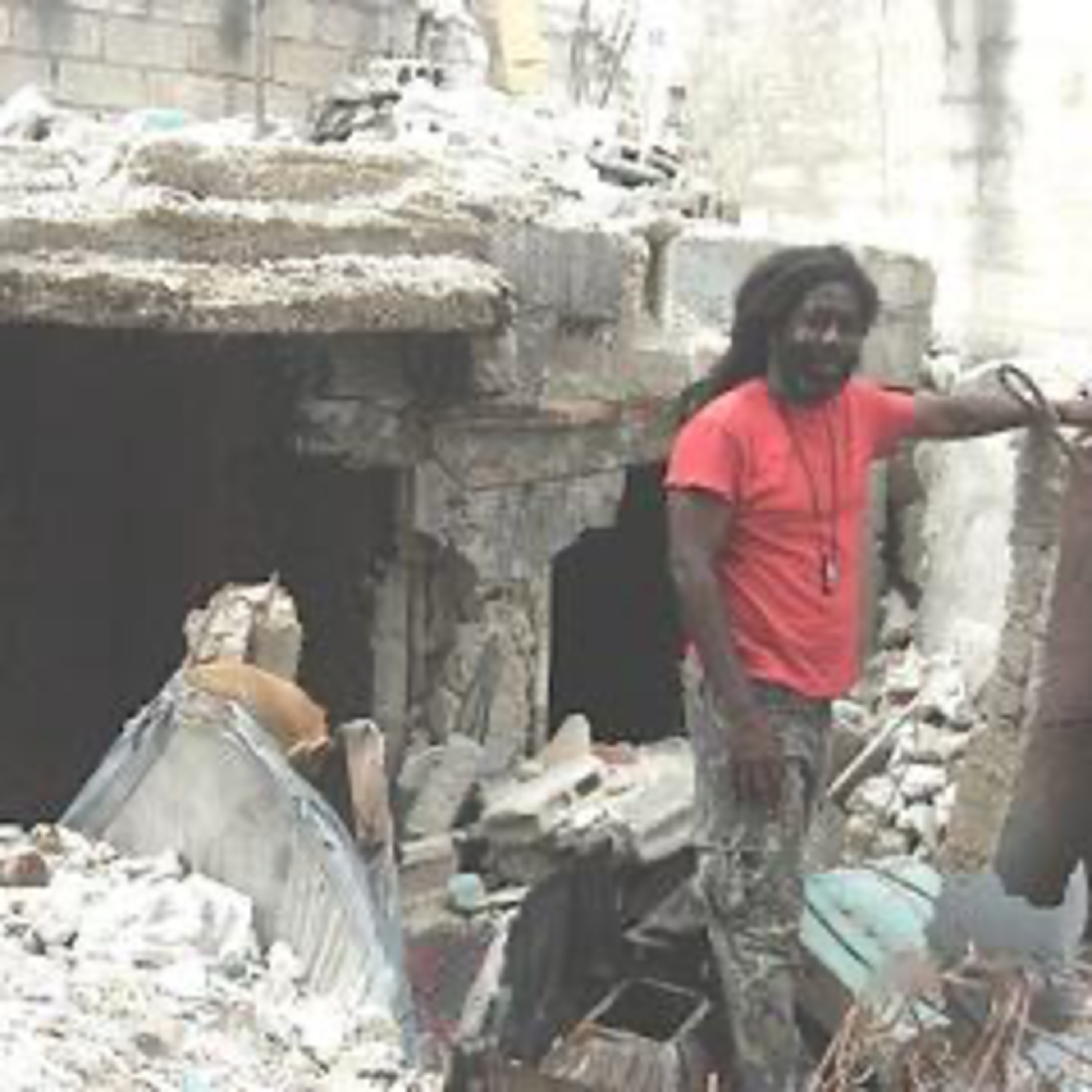 We Will Remember Haiti - In Their Voice