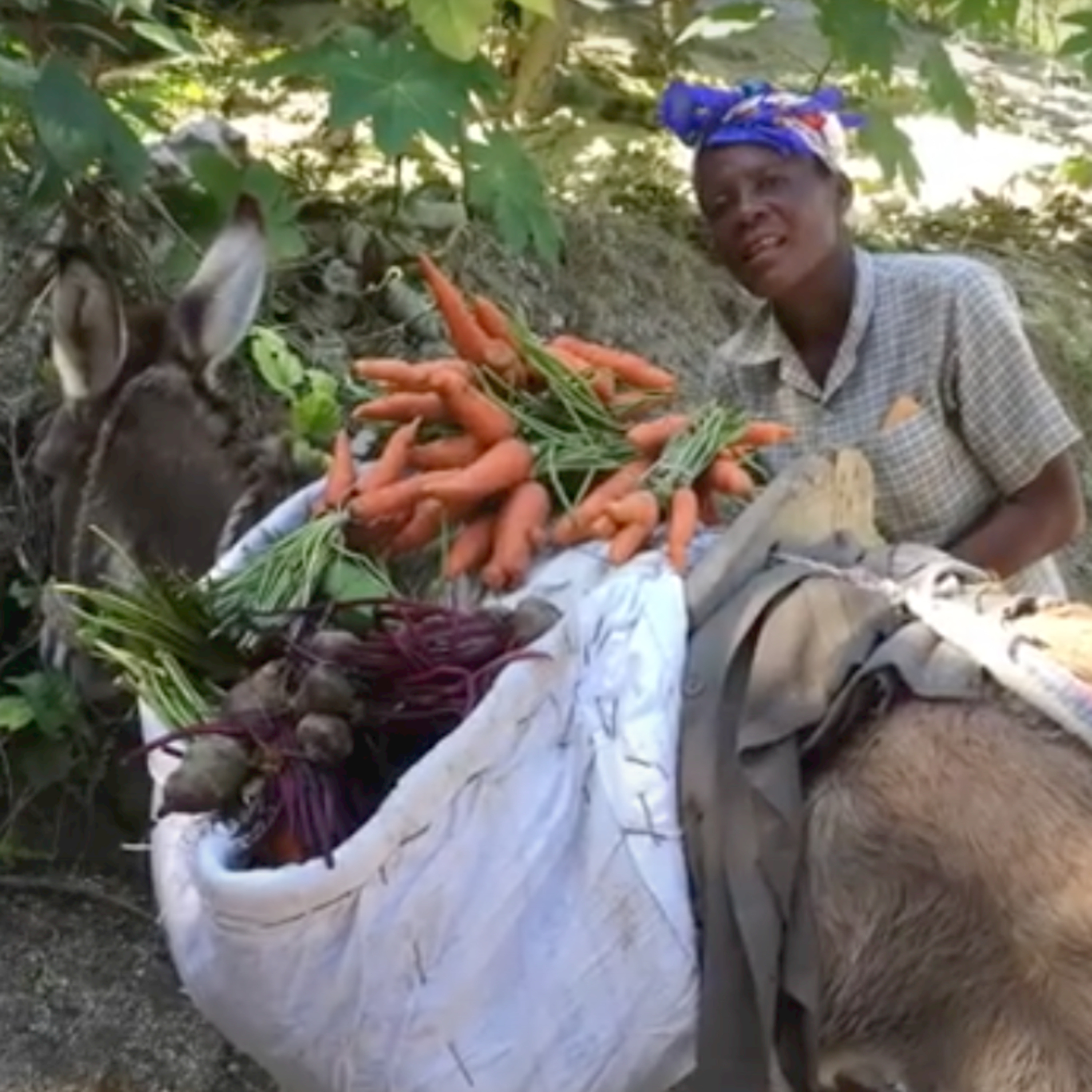 We Will Remember Haiti - In Their Voice