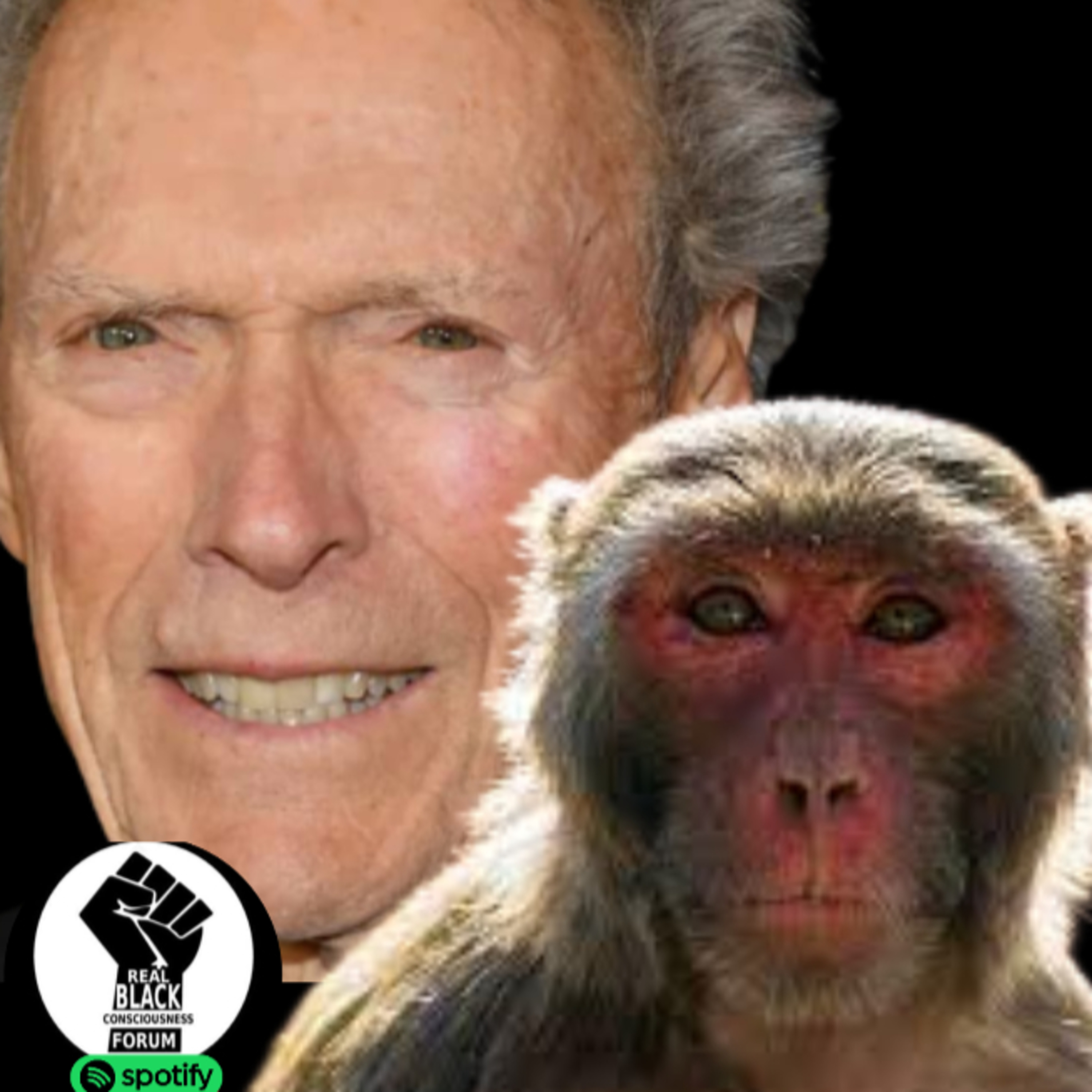 Real Black Consciousness Forum