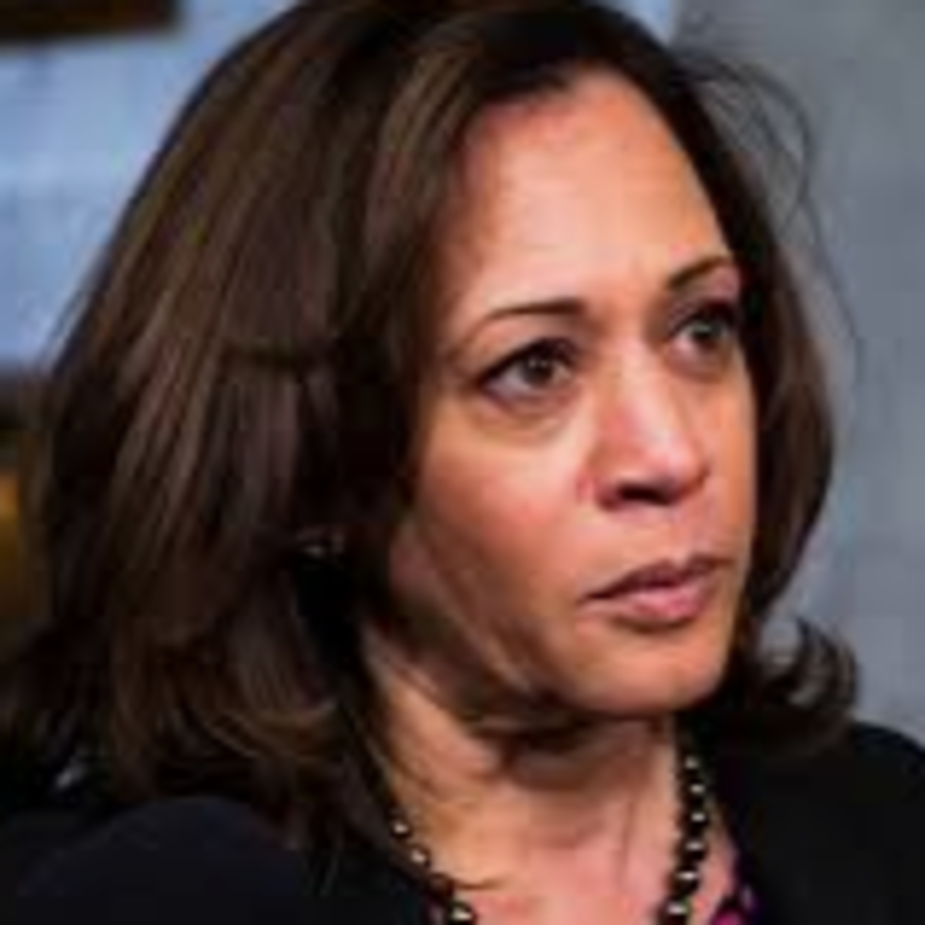 Kamala Harris Will Push Abortion & Illegal Immigration To DESTROY Black Community After Election! episode artwork