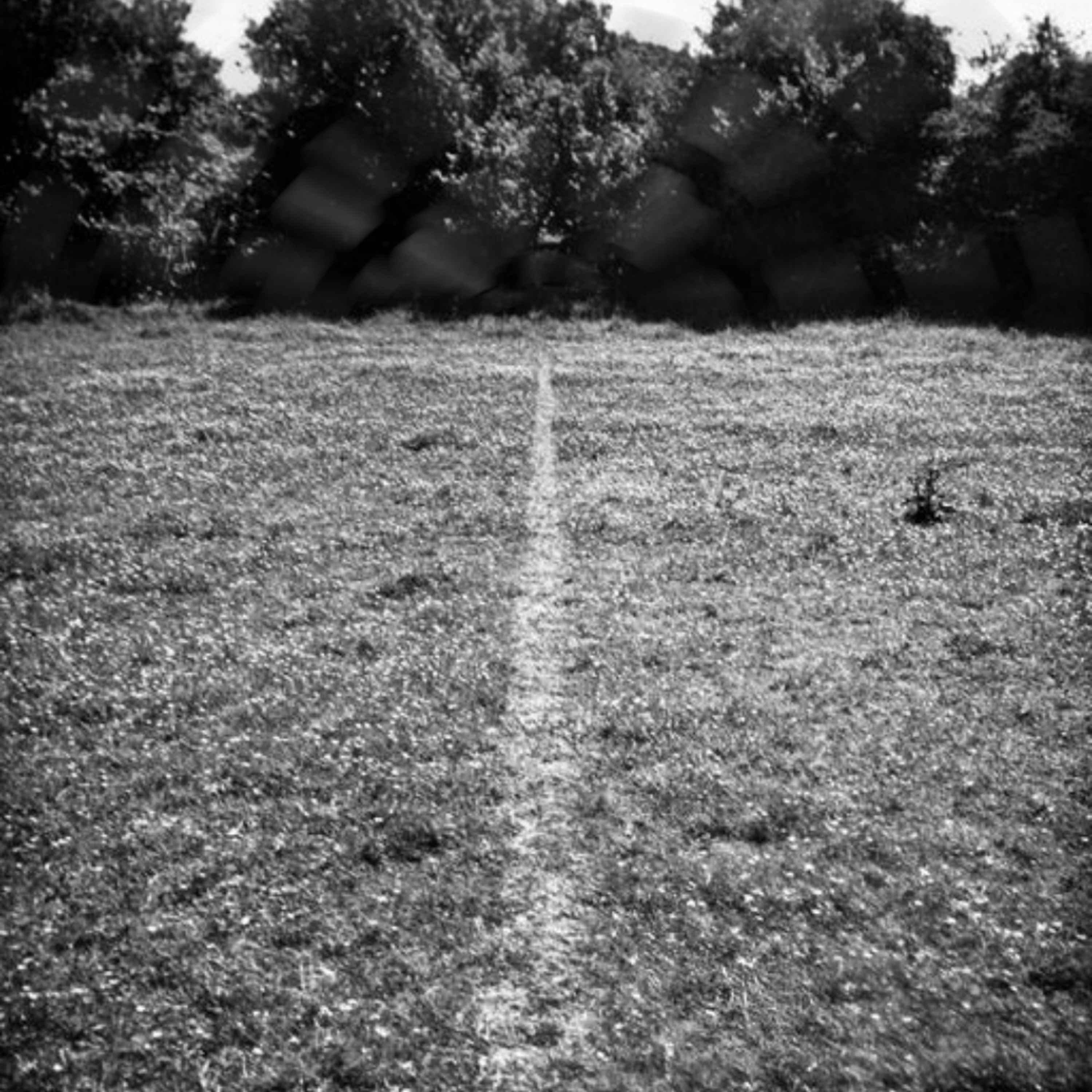 #2 Onde há vida, há inacabamento episode artwork