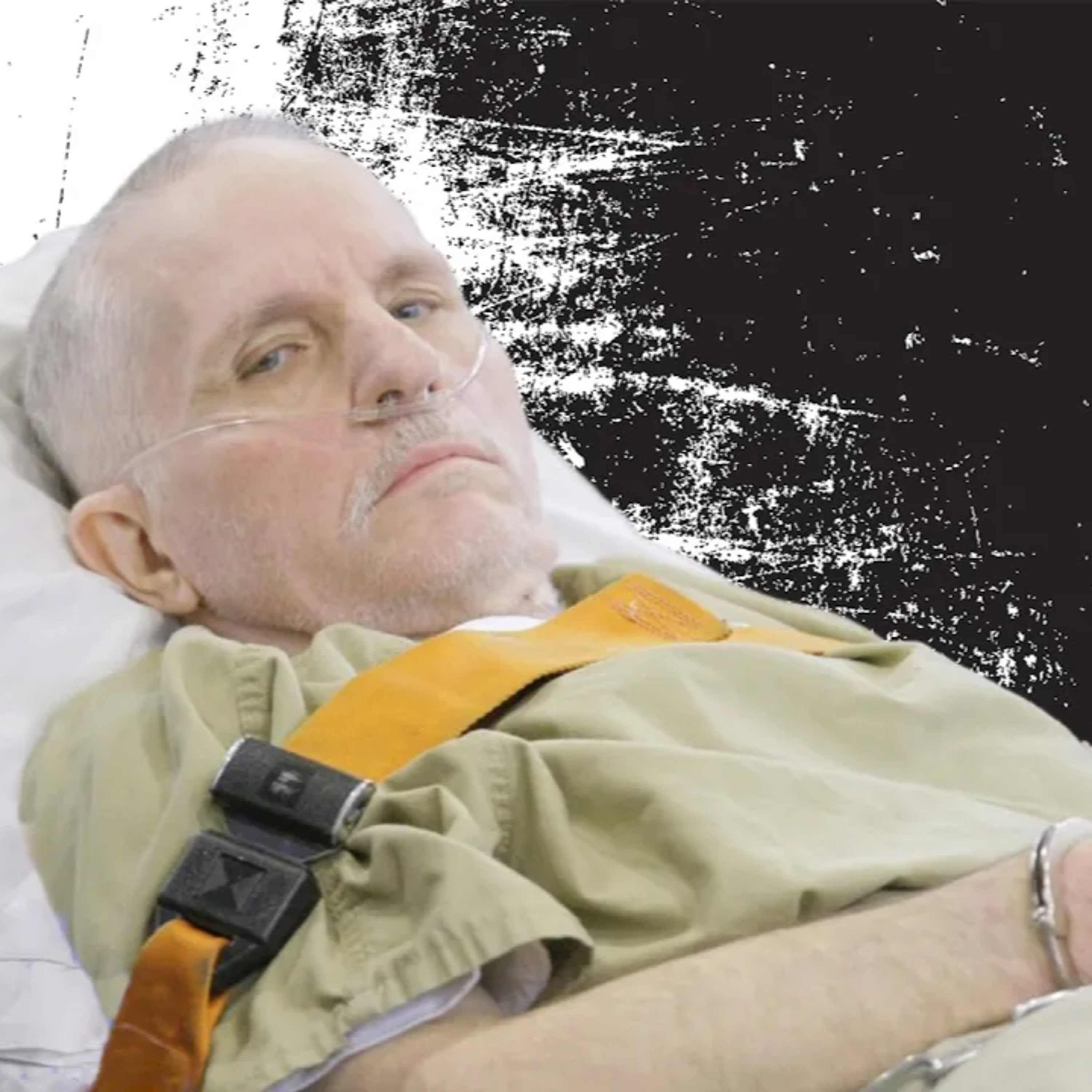 Serial Killer: Robert Zarinsky (The Cop Killer) episode artwork