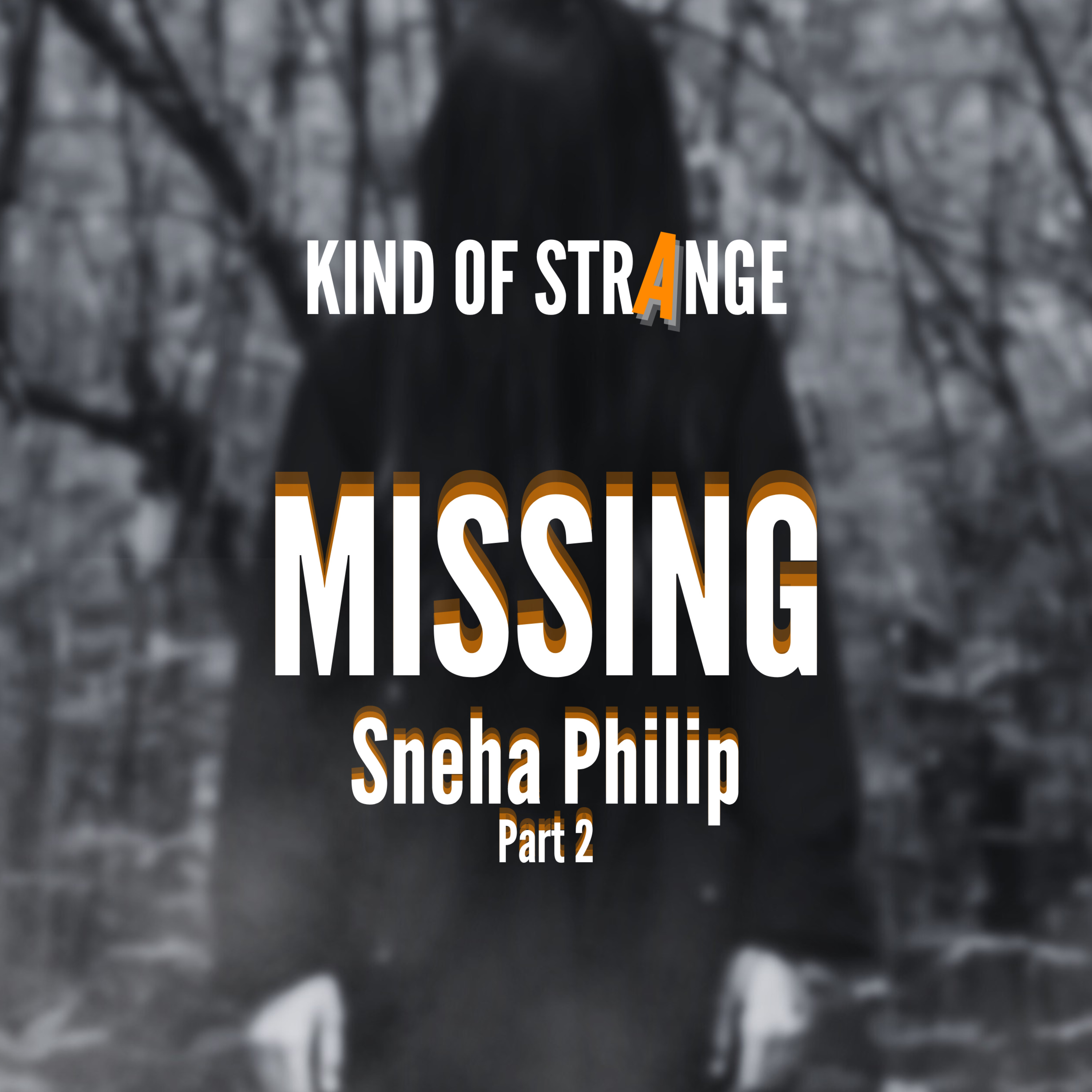 MISSING: Sneha Philip Theories (Part 2)