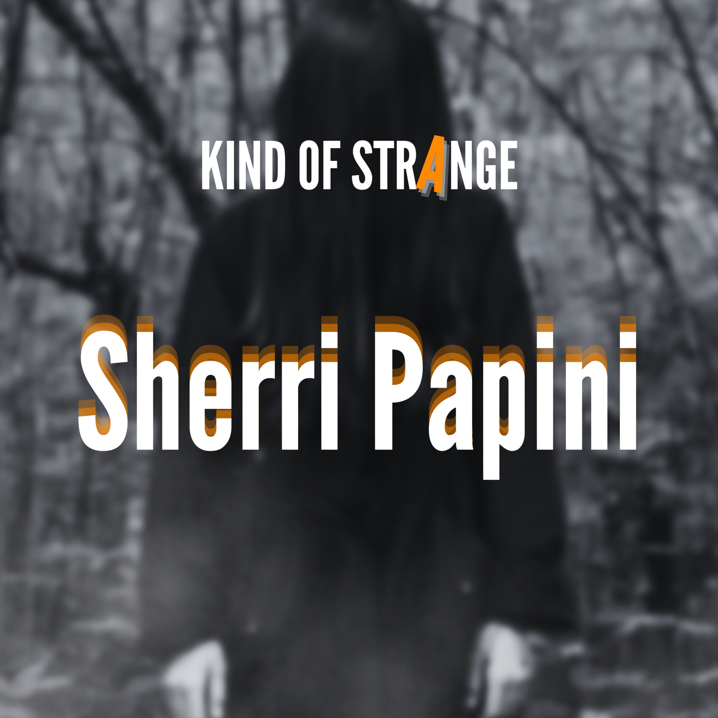 STRANGE CASE: Sherri Papini