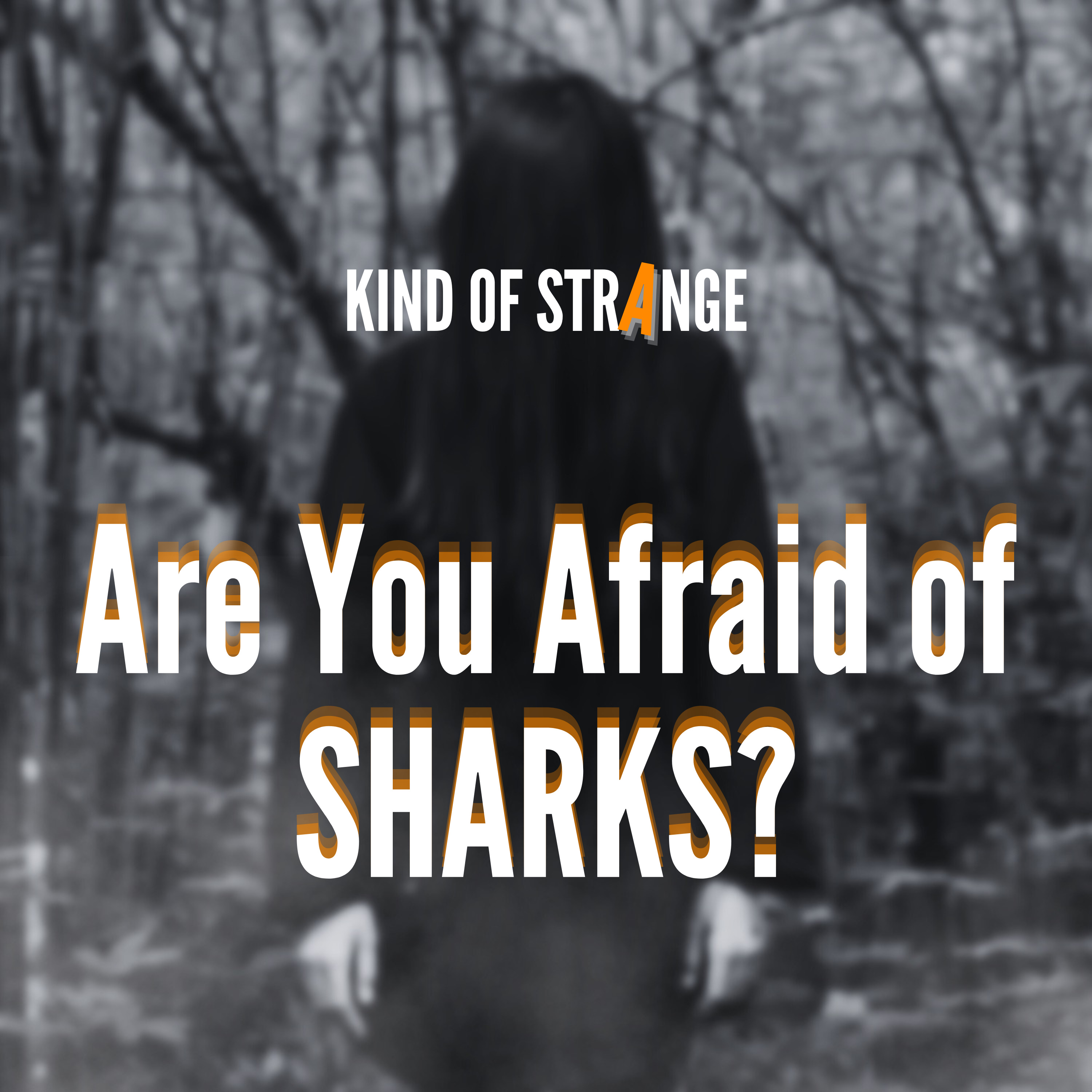 Are You Afraid of SHARKS?