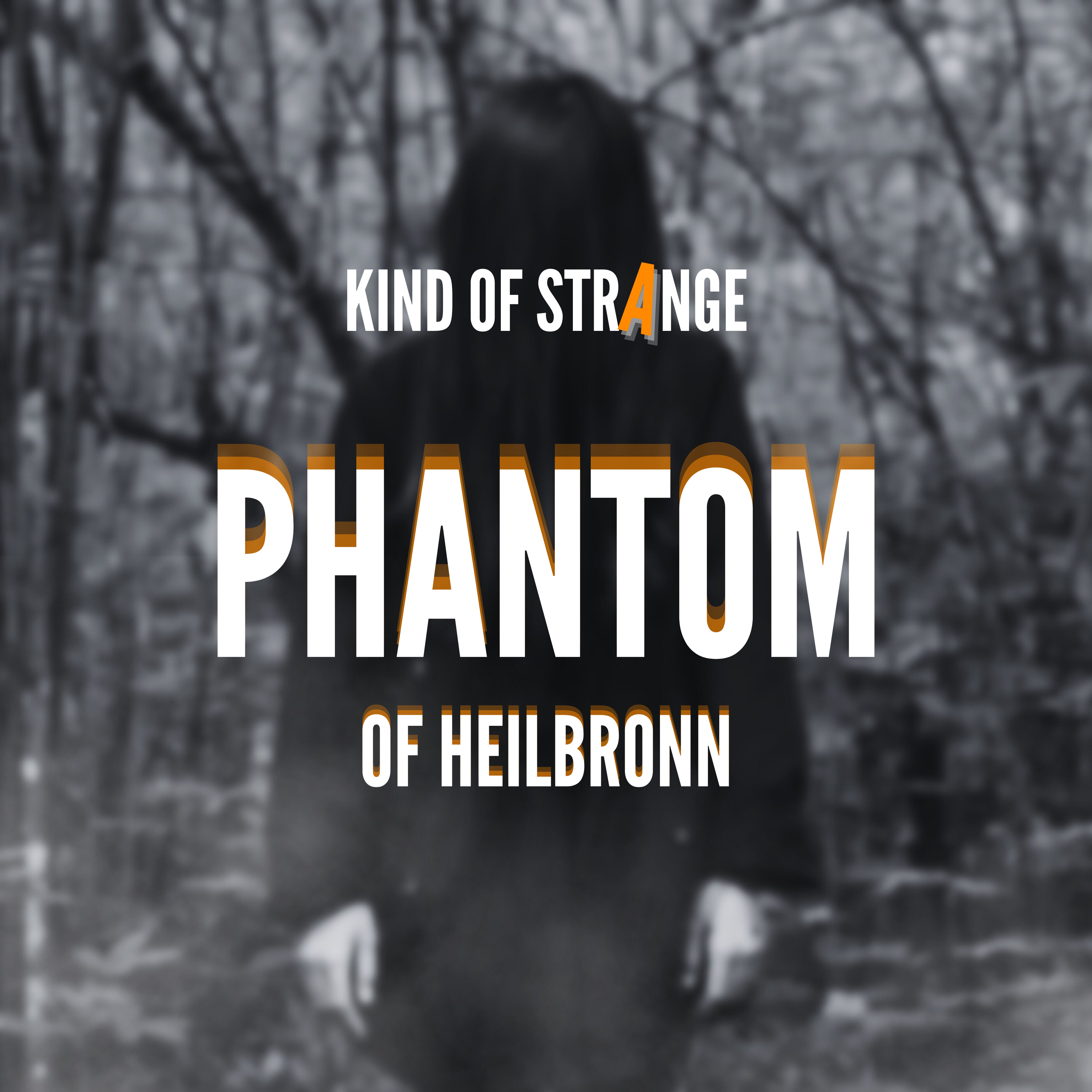 PHANTOM OF HEILBRONN