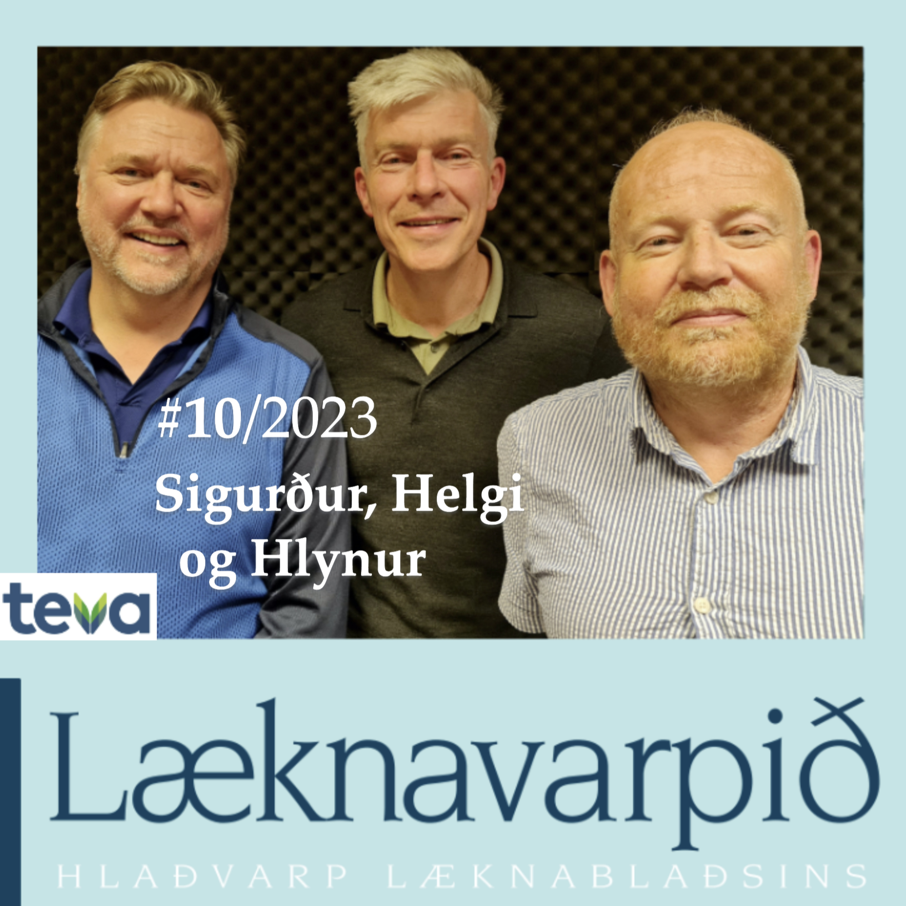 #10/2023 Sigurður, Helgi og Hlynur