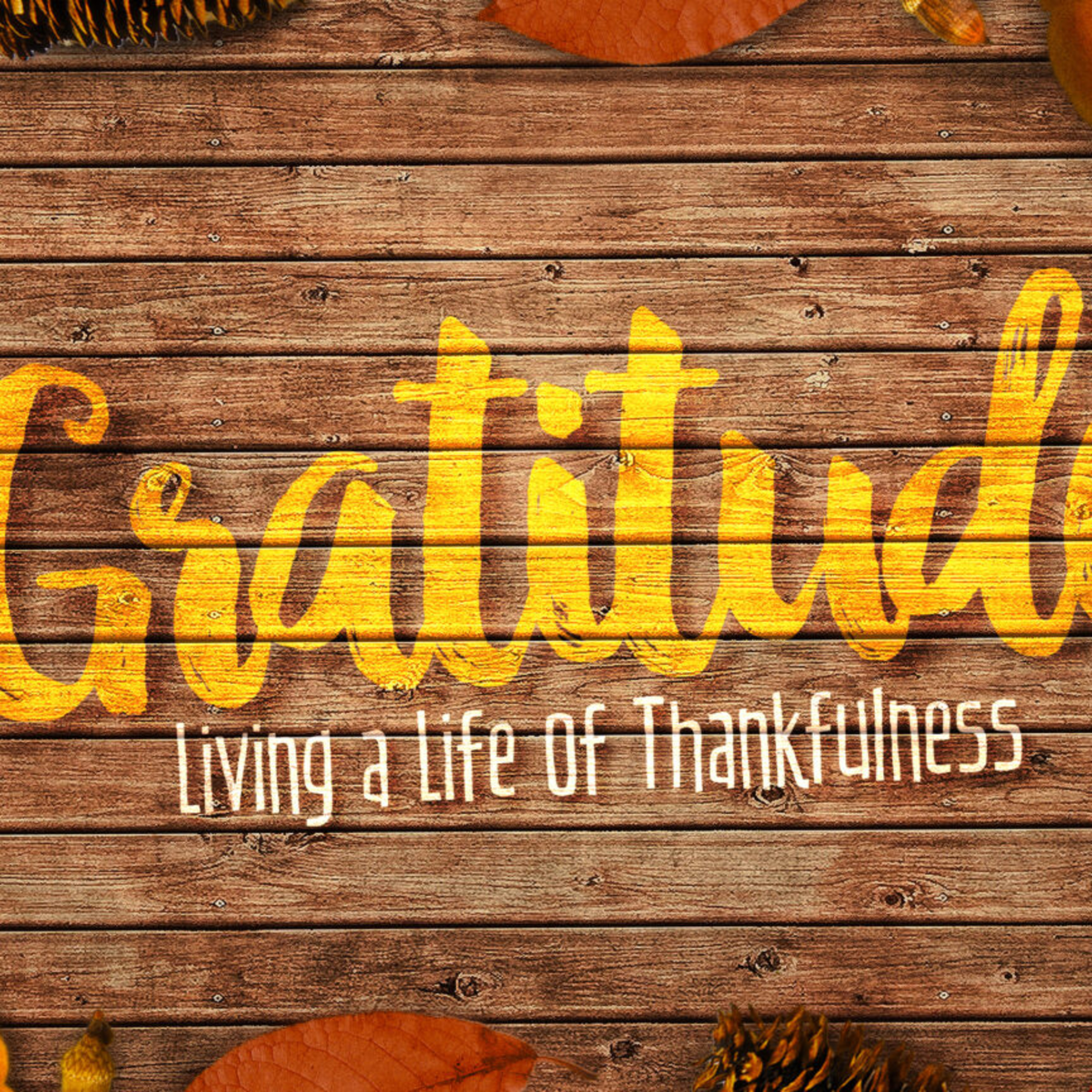 Expression of Gratitude - Week 2 of Gratitude episode artwork