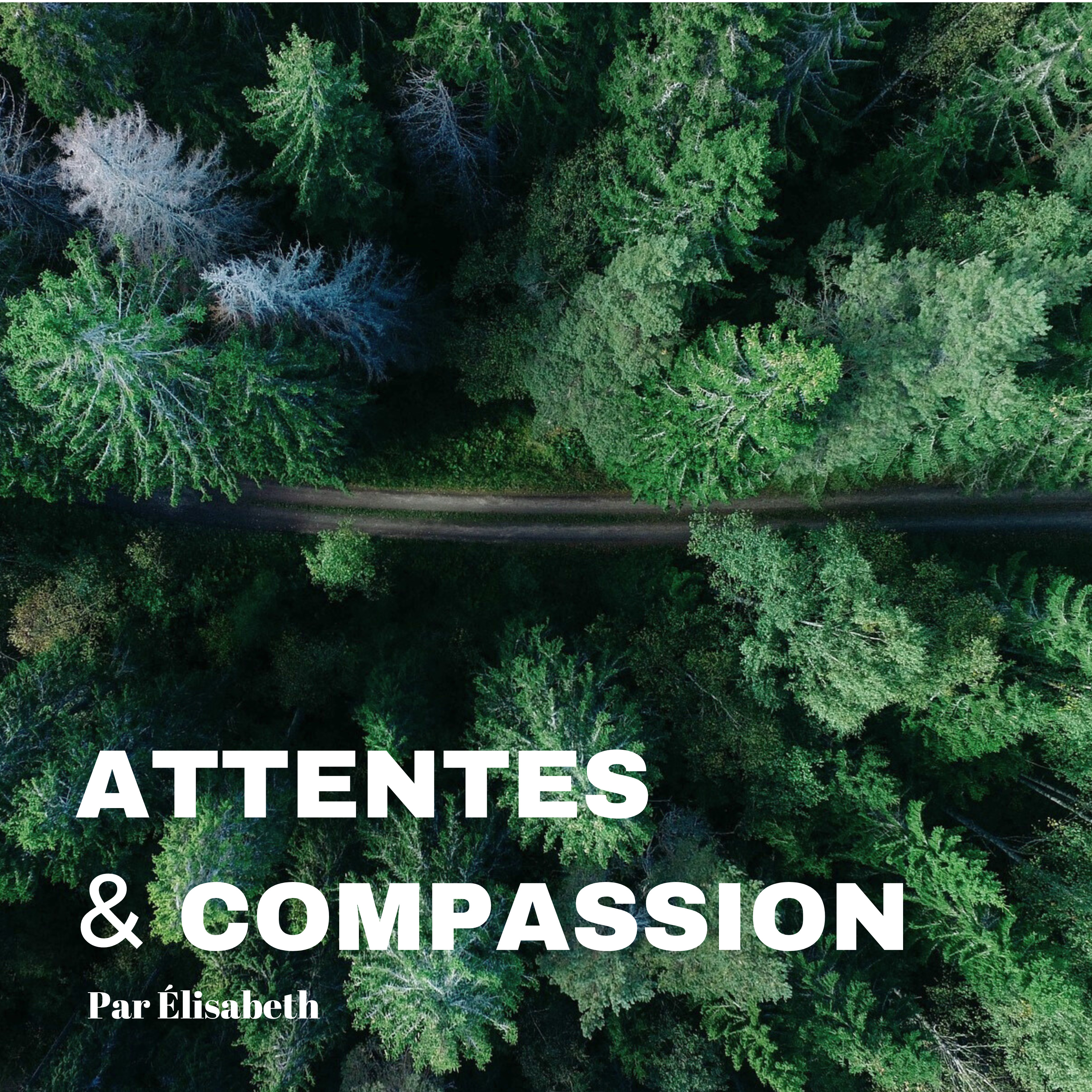 Attentes et compassion- Alléger l'esprit episode artwork