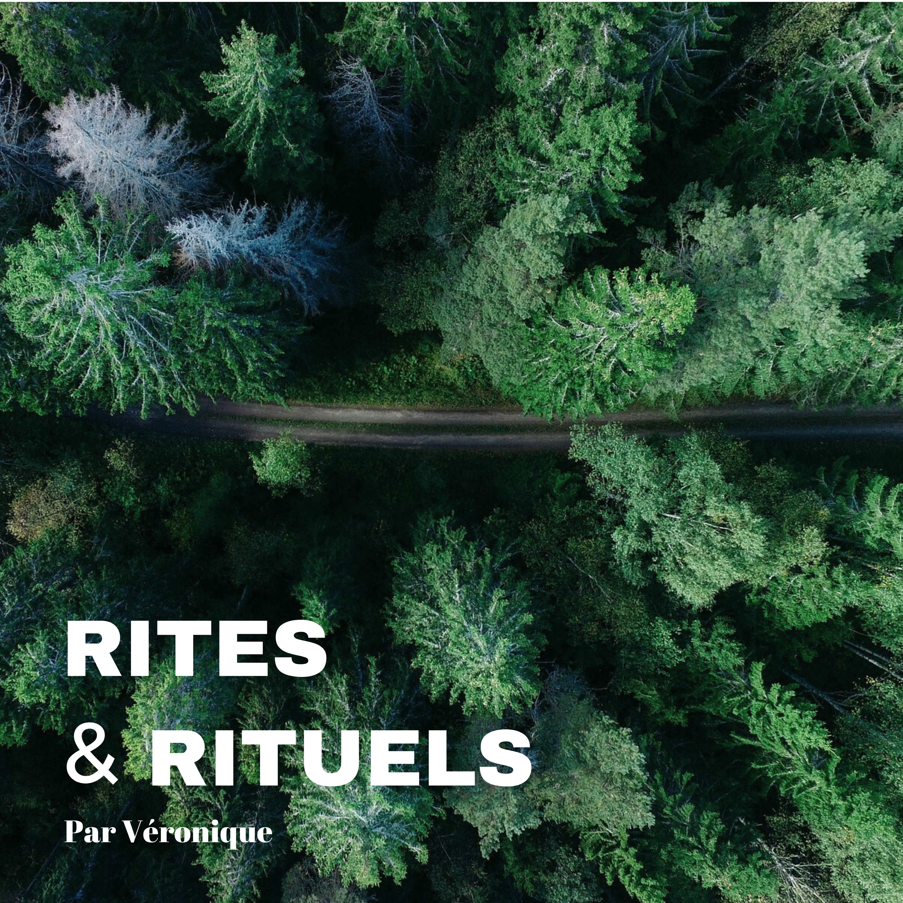 Comment les rites et rituels peuvent empêcher une correction profonde episode artwork