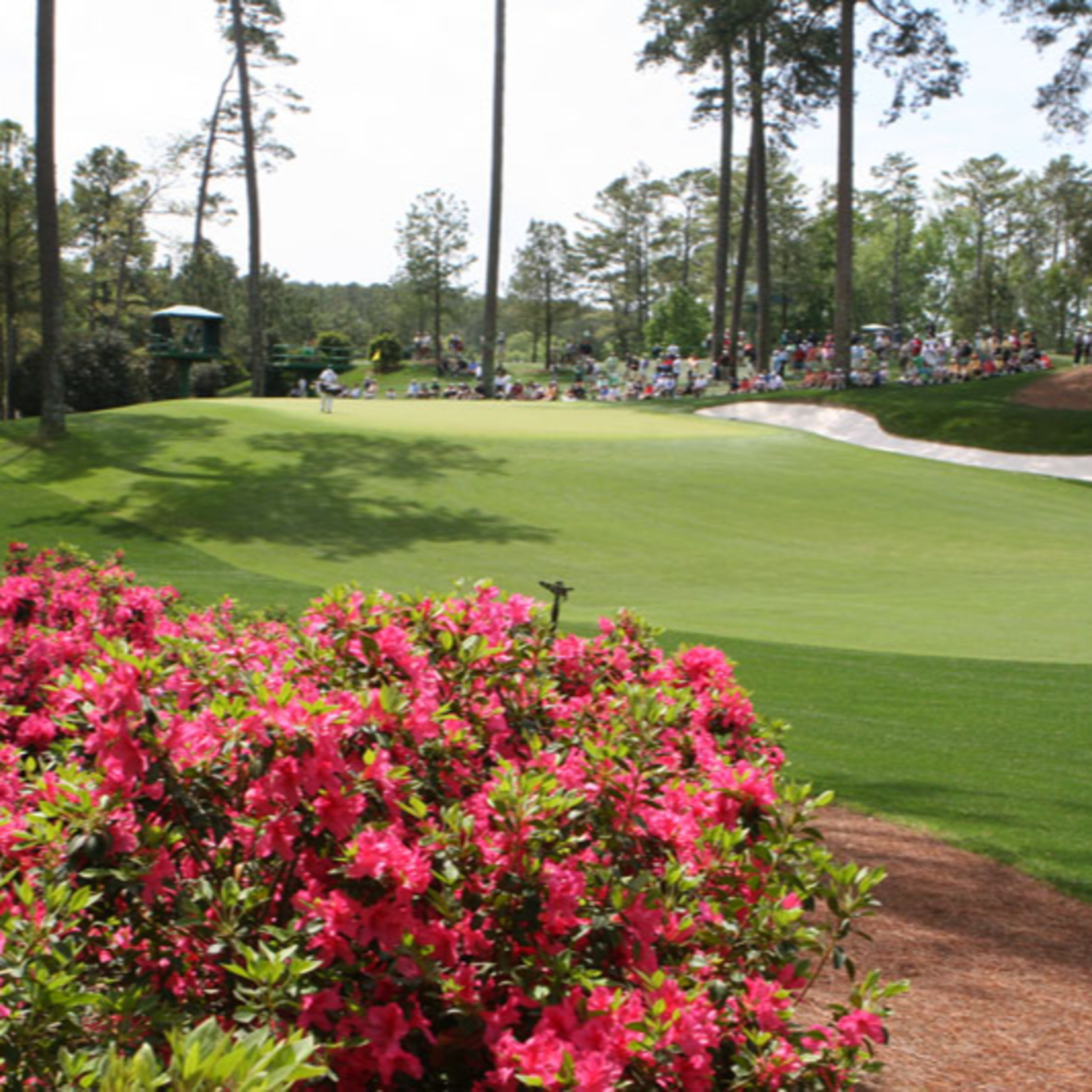 Live from Augusta !!!  episode artwork