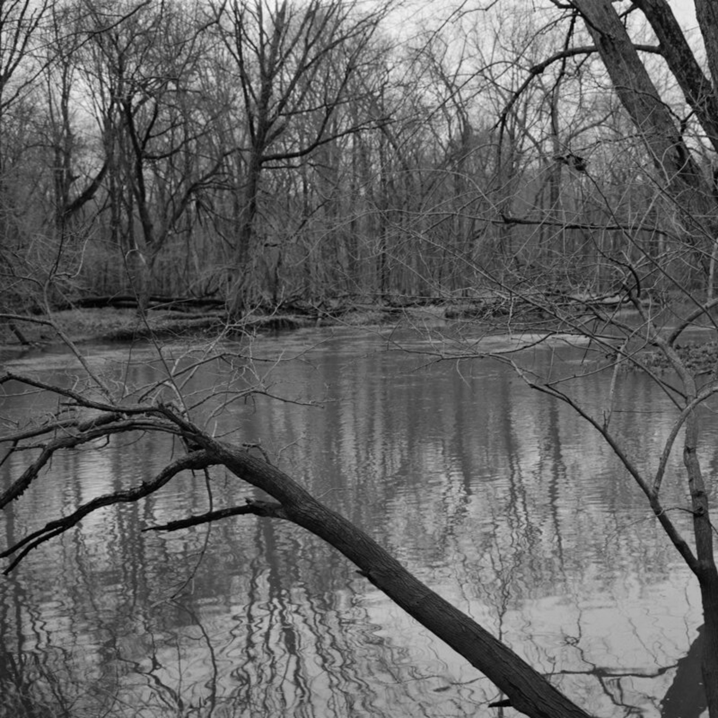 14. Tim Carpenter: To Photograph is to Learn How to Die