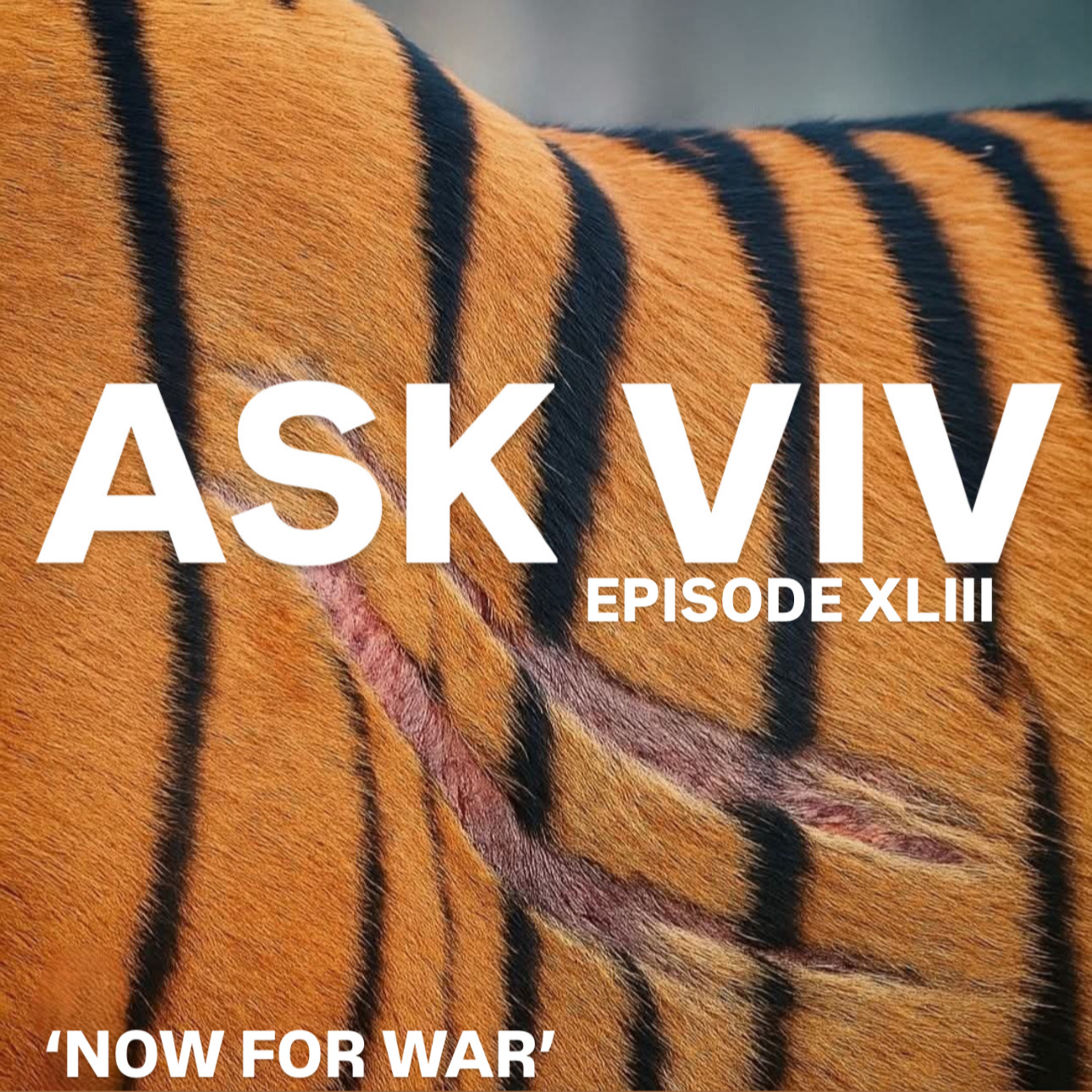 Episode 43- Now For War episode artwork