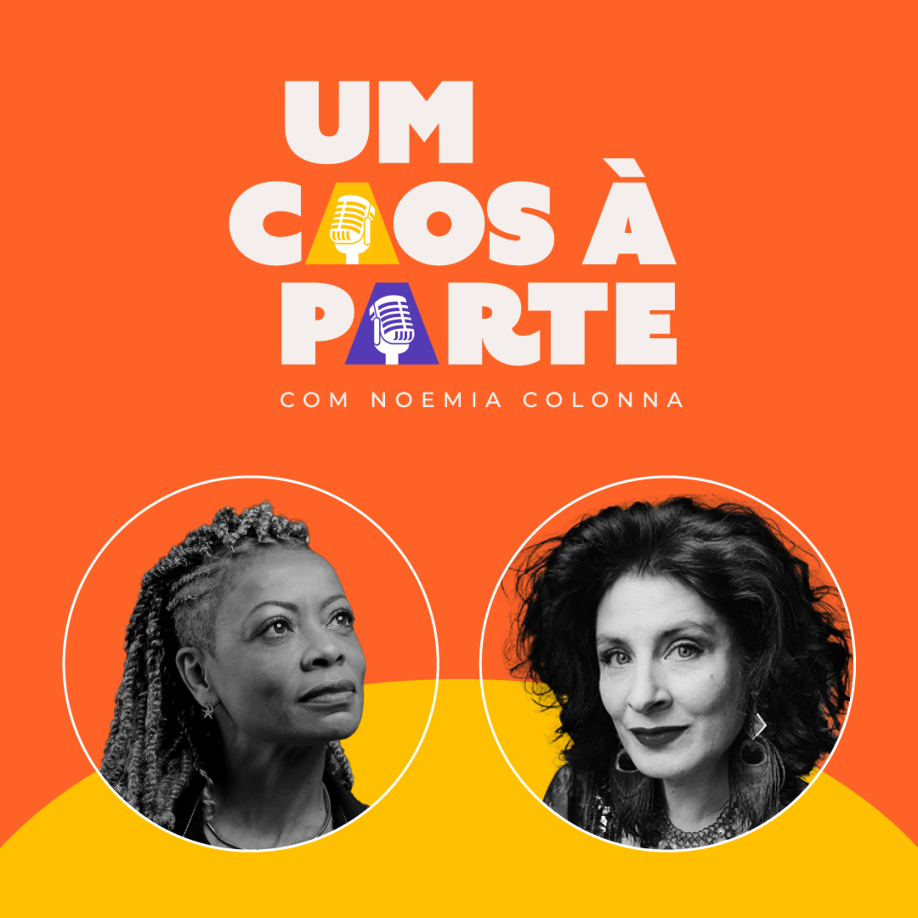 Um Caos à Parte