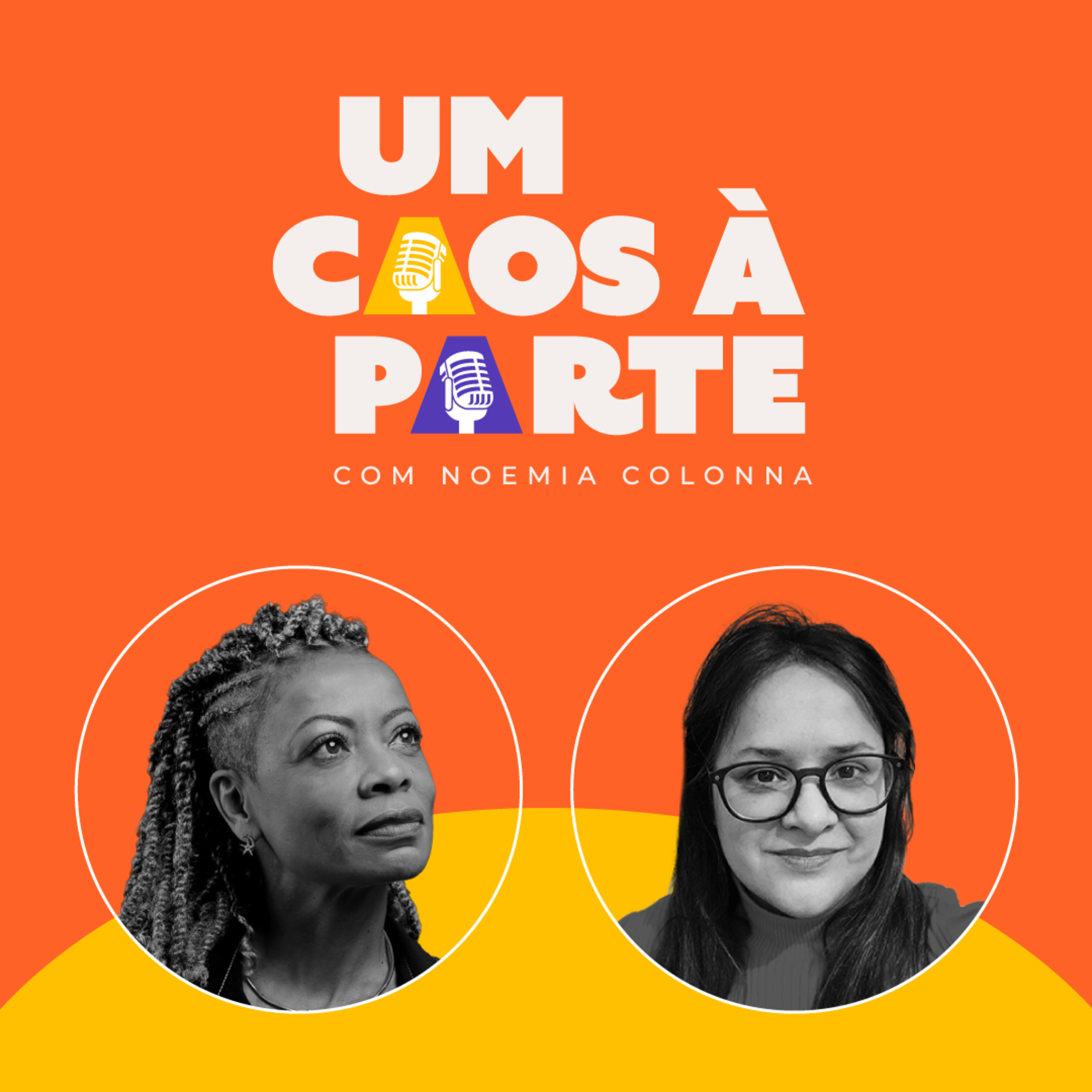 Um Caos à Parte