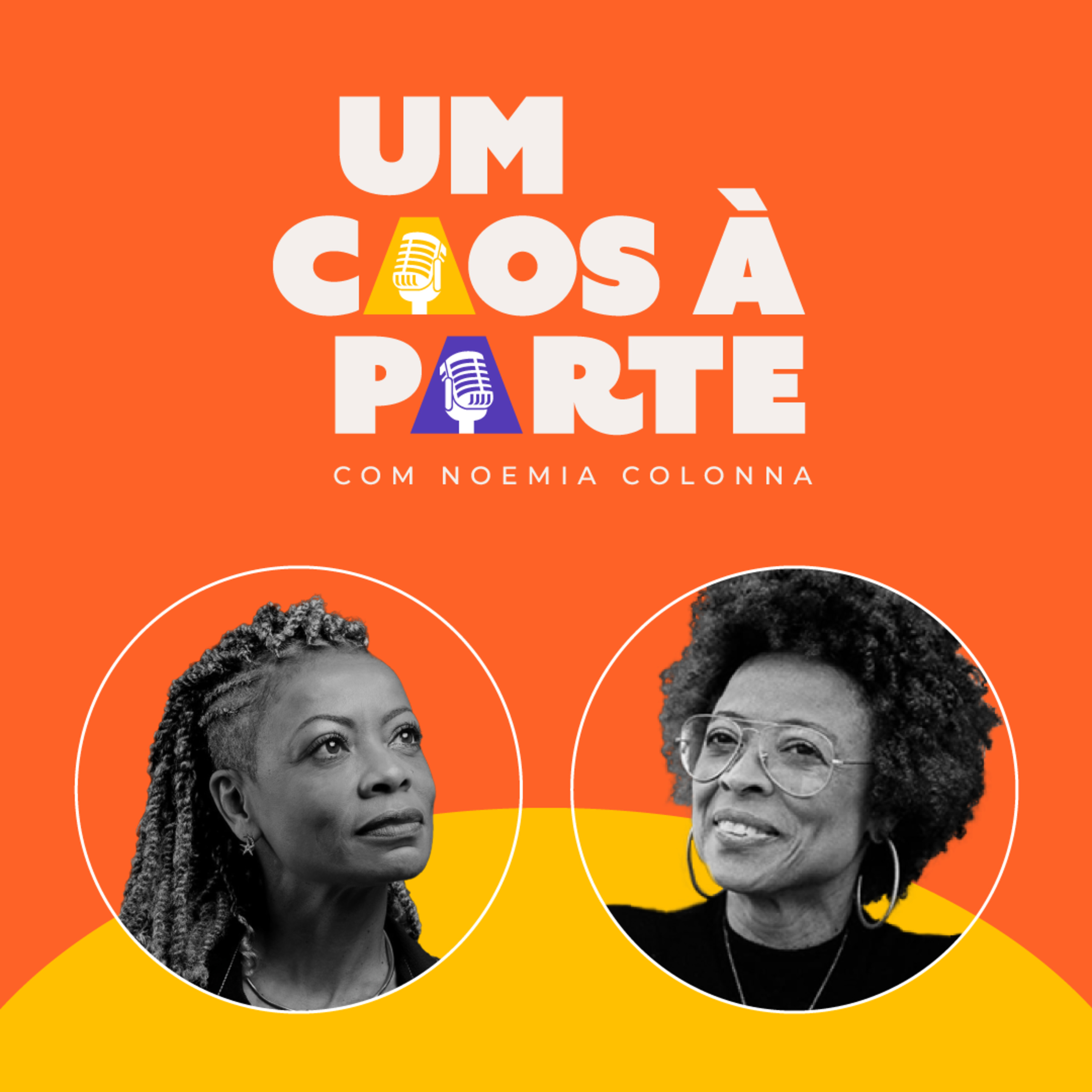 Um Caos à Parte