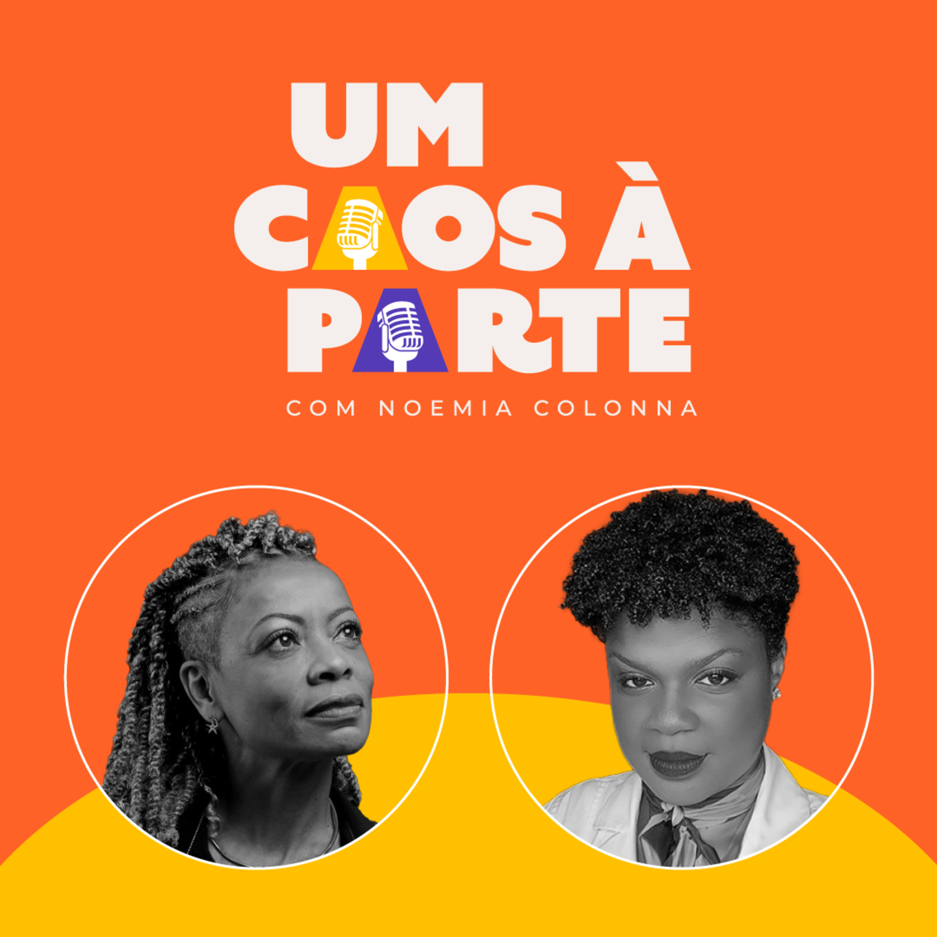 Um Caos à Parte