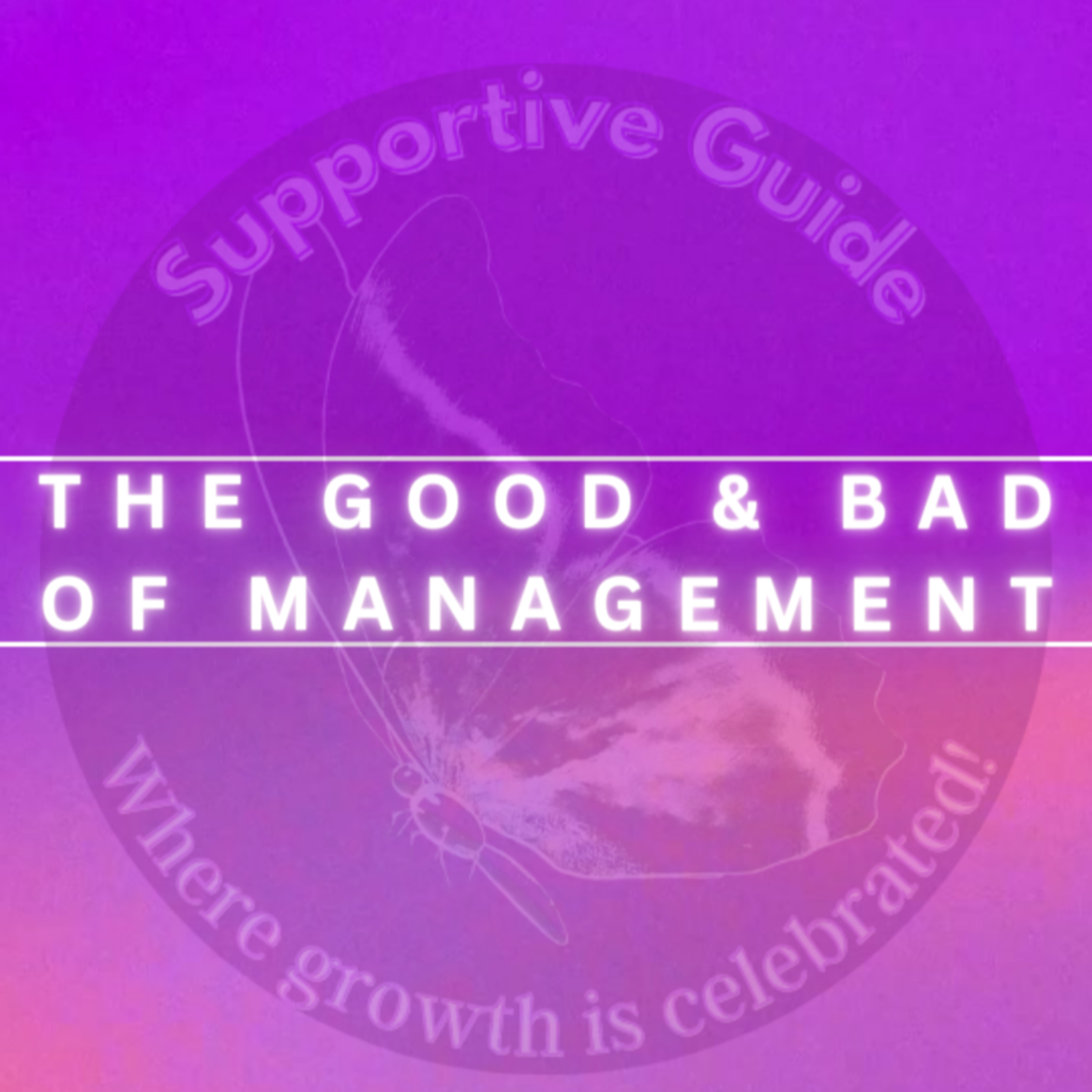 The Good & Bad of Management episode artwork