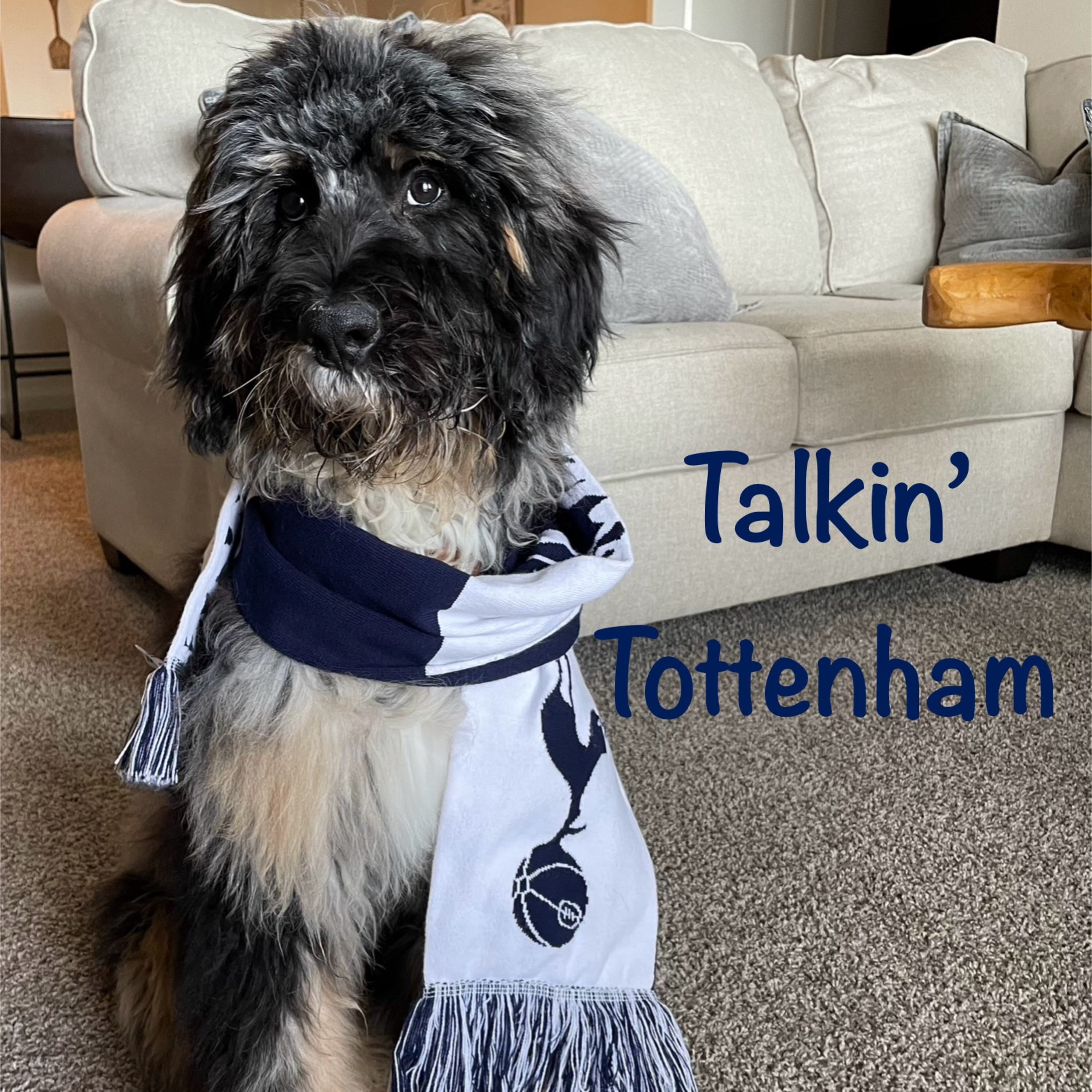 Talkin' Tottenham | So it Begins episode artwork