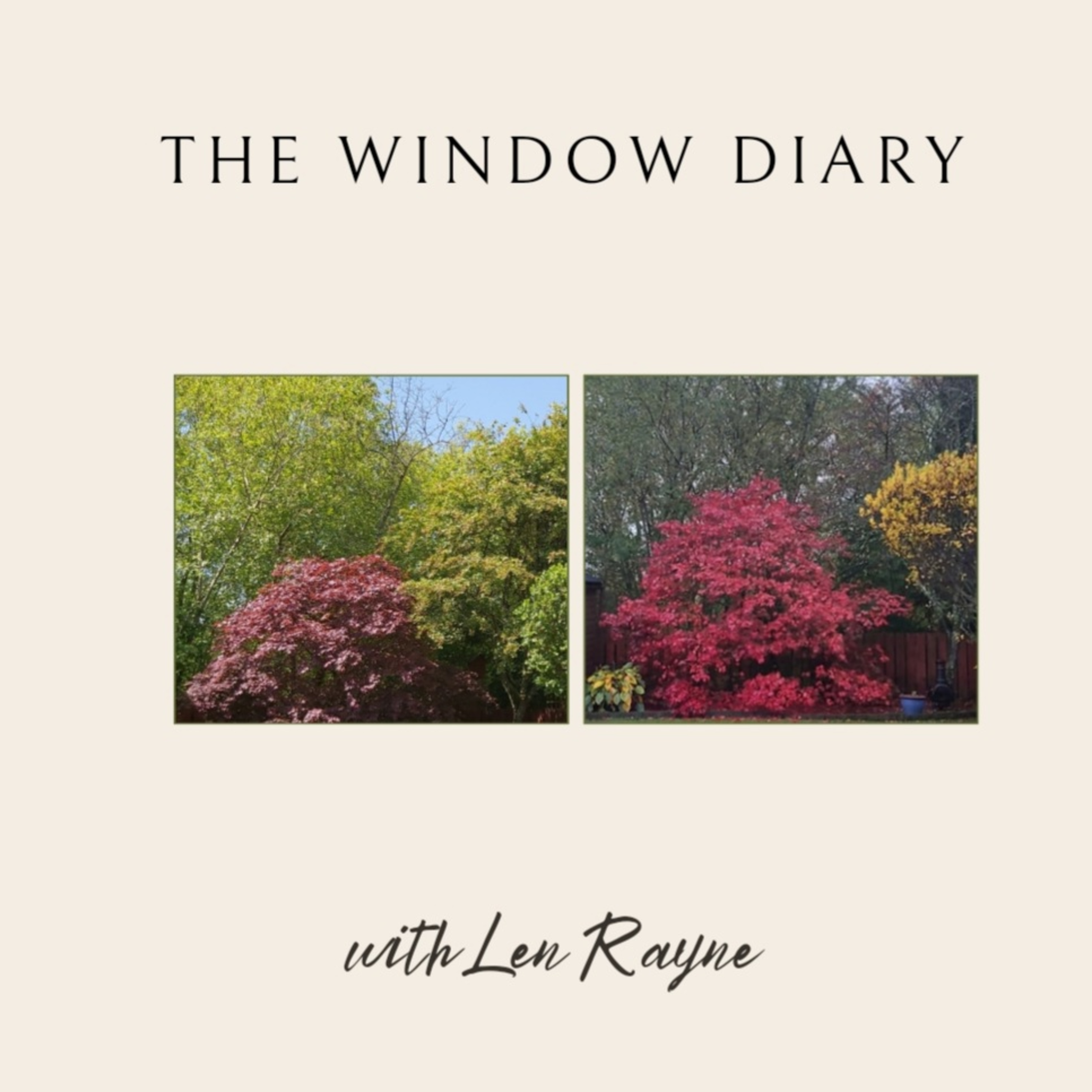 The Window Diary