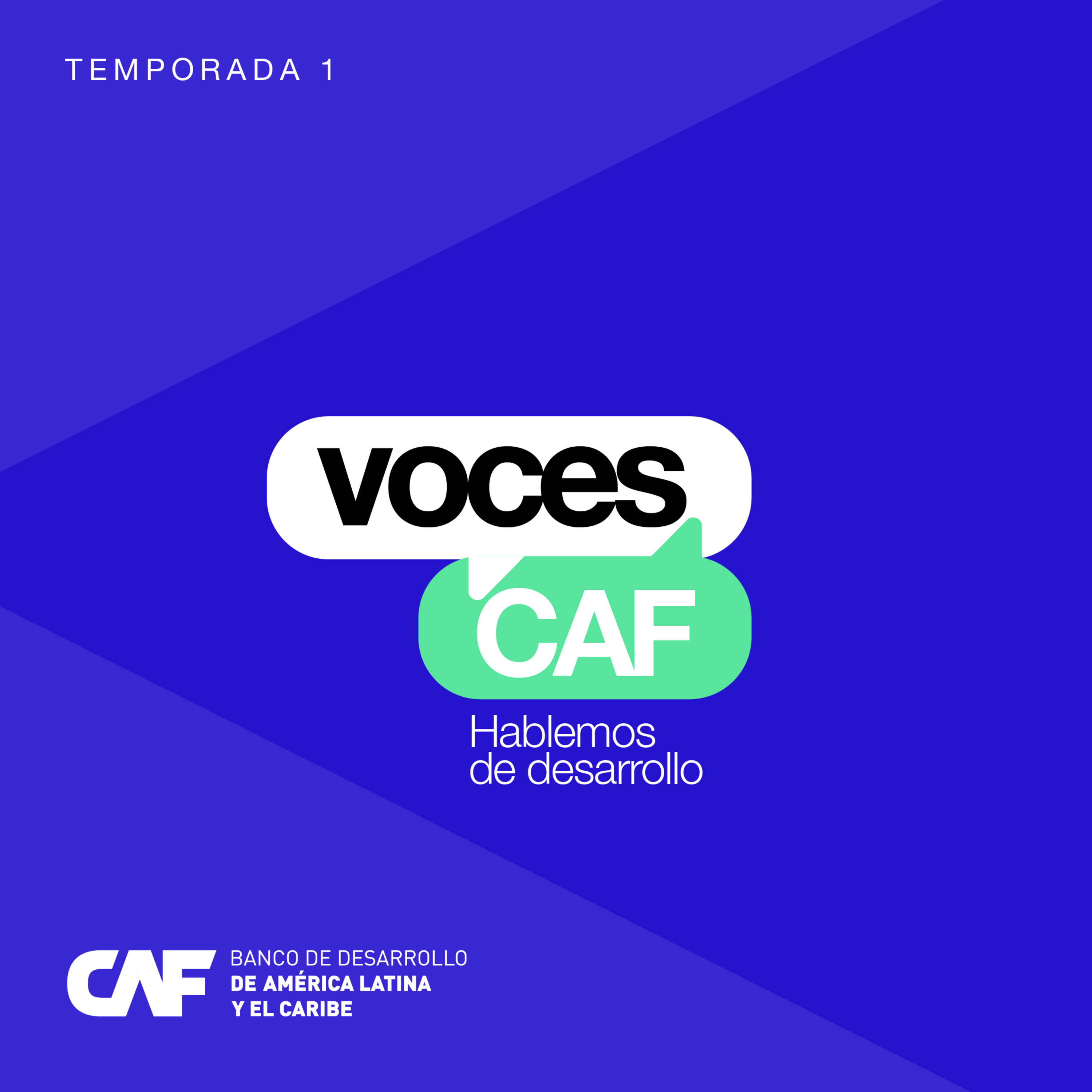 Los grandes desafíos de la diversidad, inclusión e igualdad de género en América Latina y el Caribe episode artwork