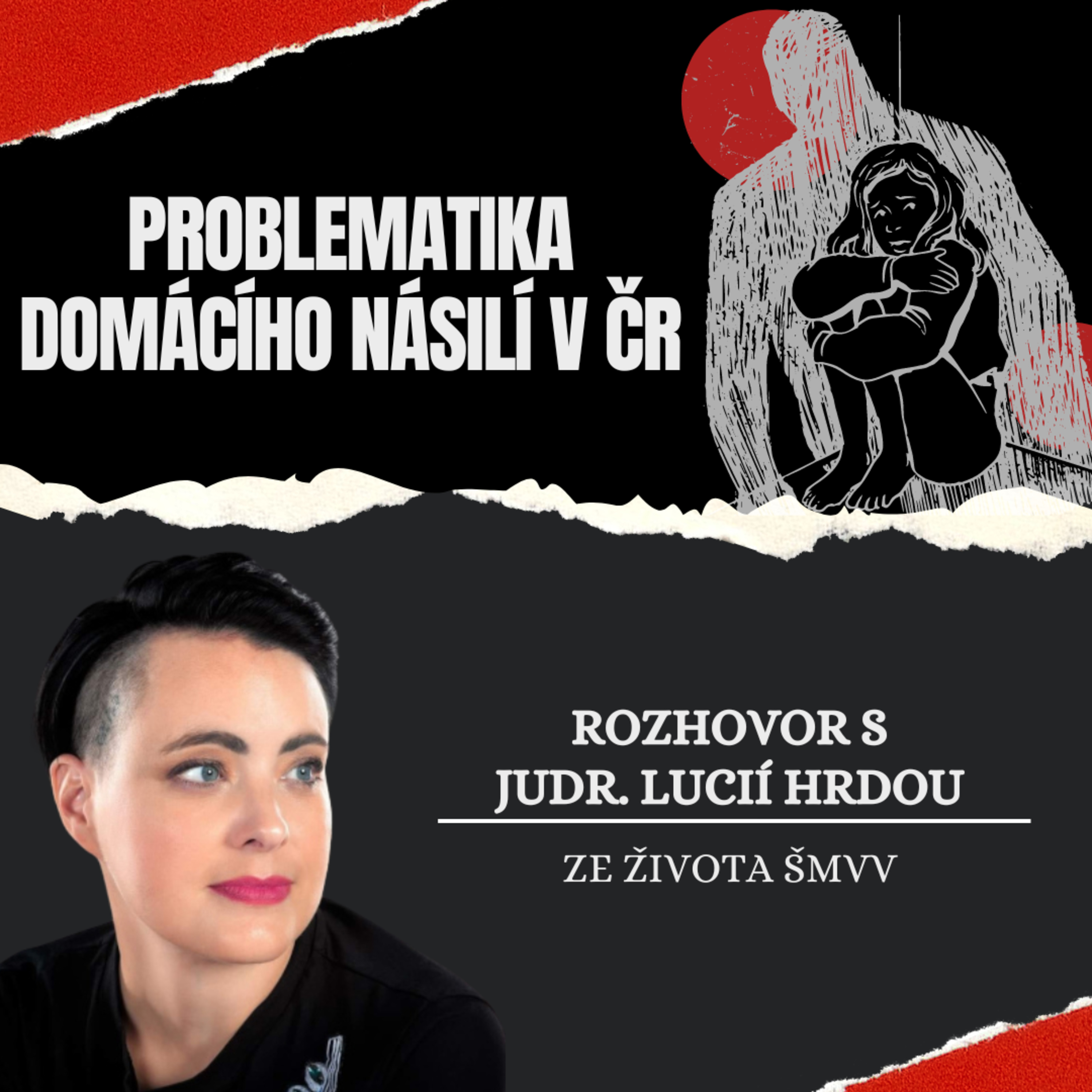 6. Ze života ŠMVV (přednáška o domácím násilí) episode artwork