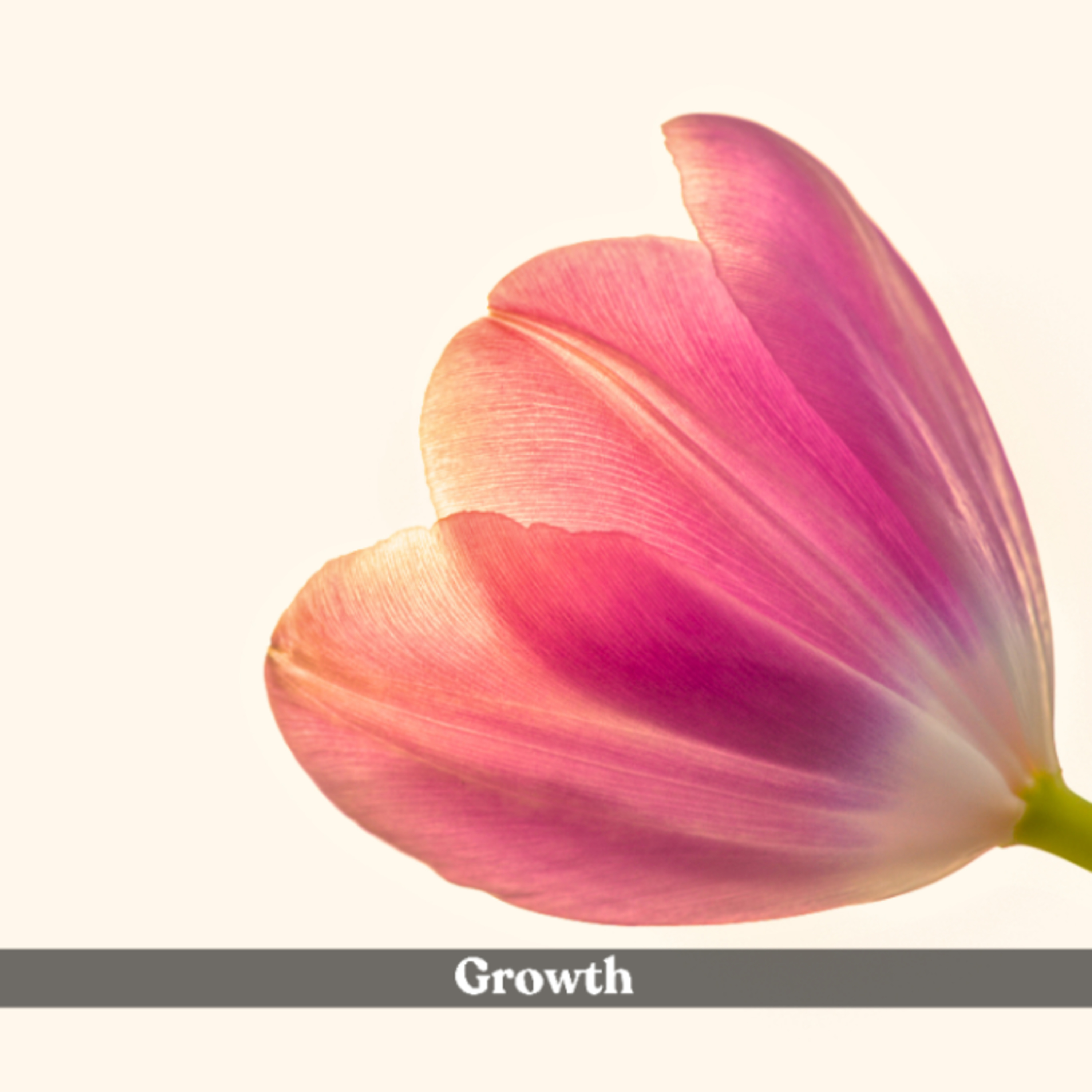 Growth Is A Three-Letter Word | The Audiobook