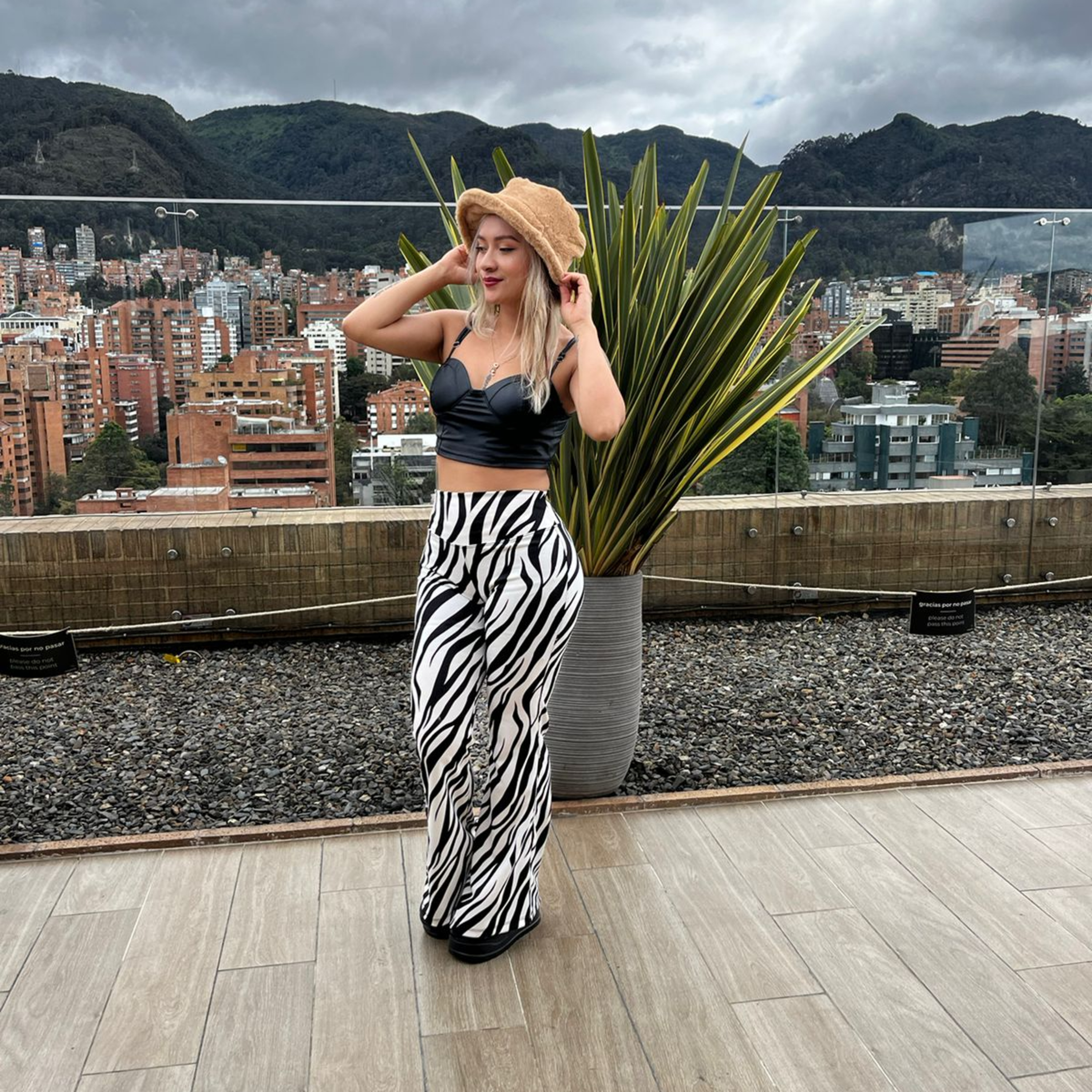 TERRAZA MUSIC PODCAST
