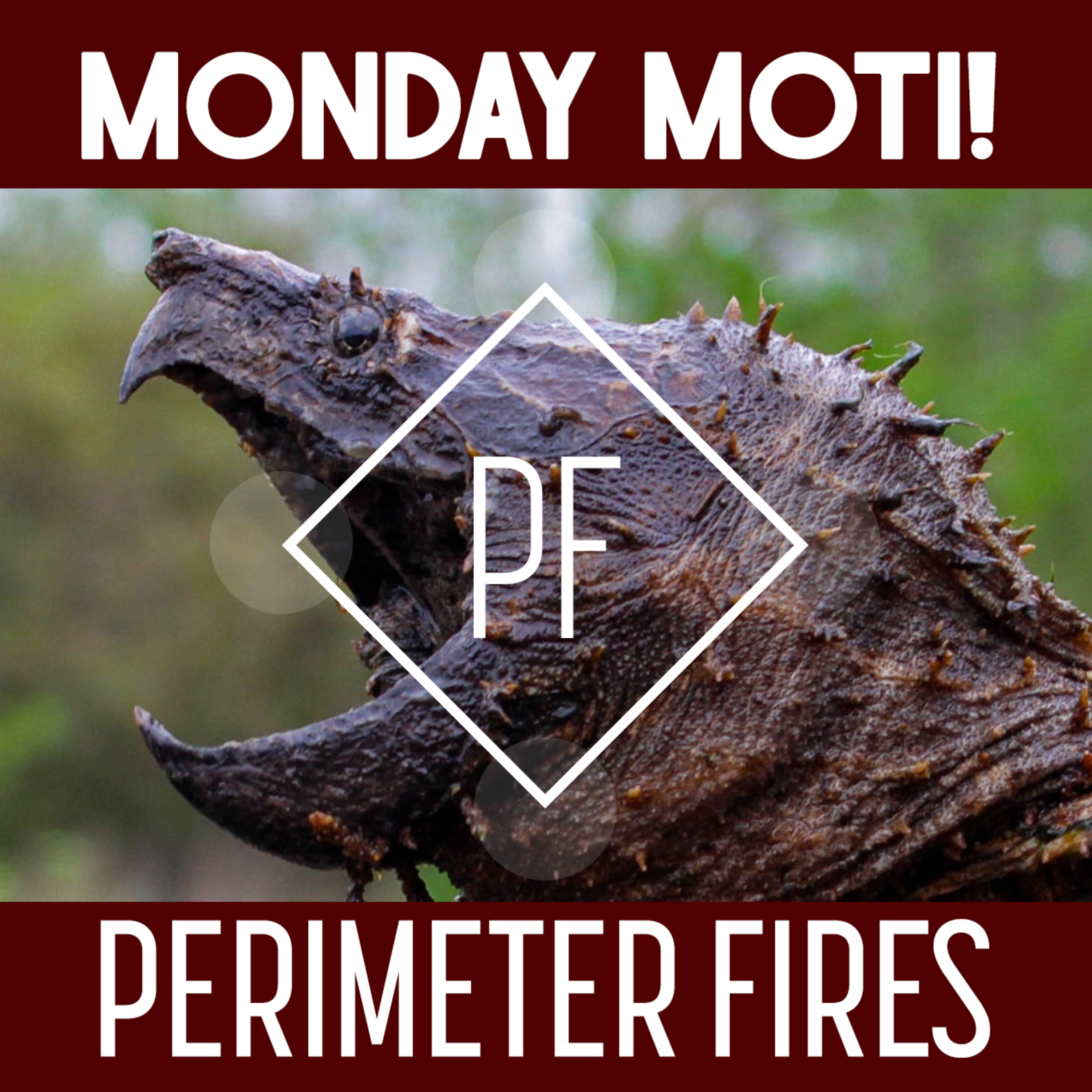 Perimeter Fires