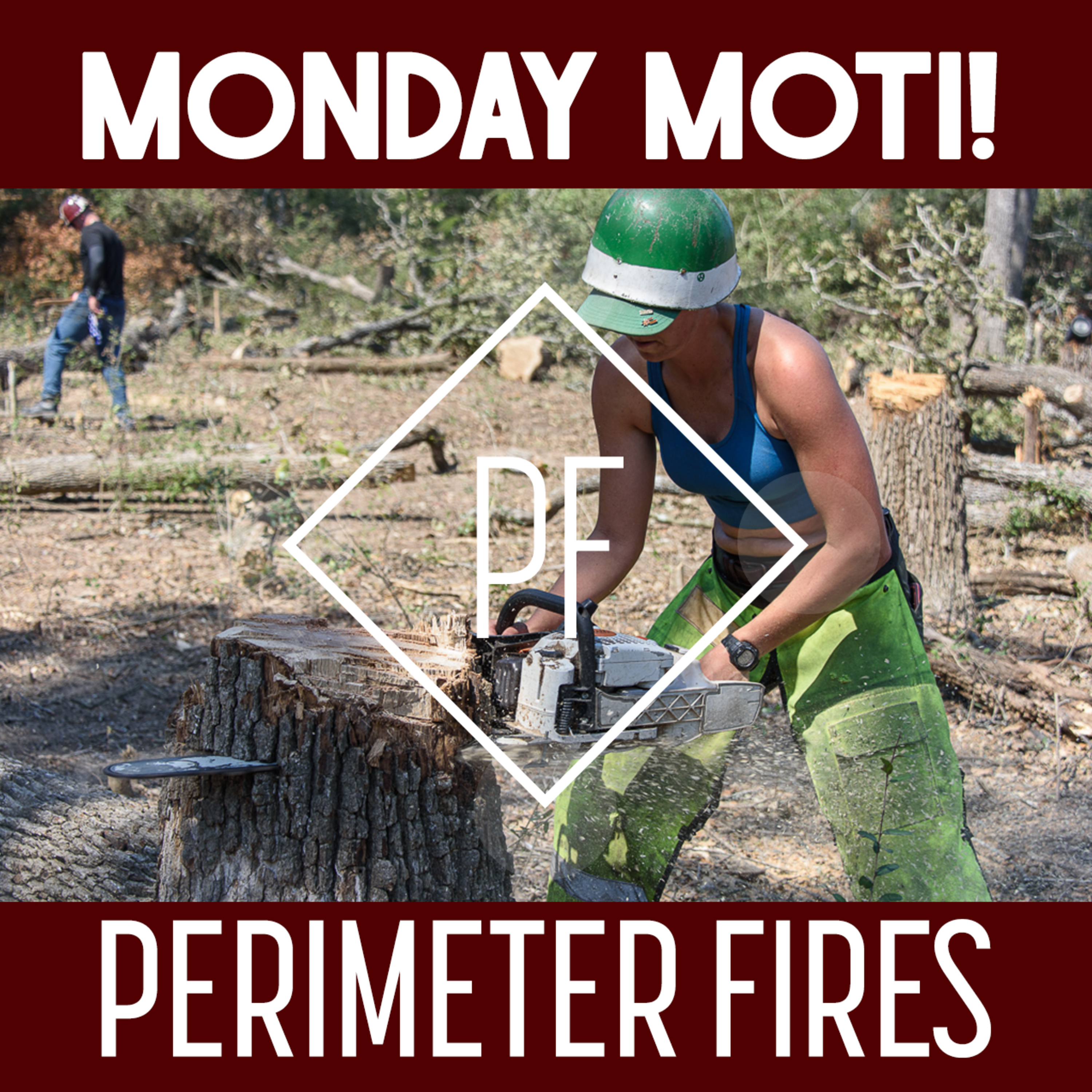 Perimeter Fires