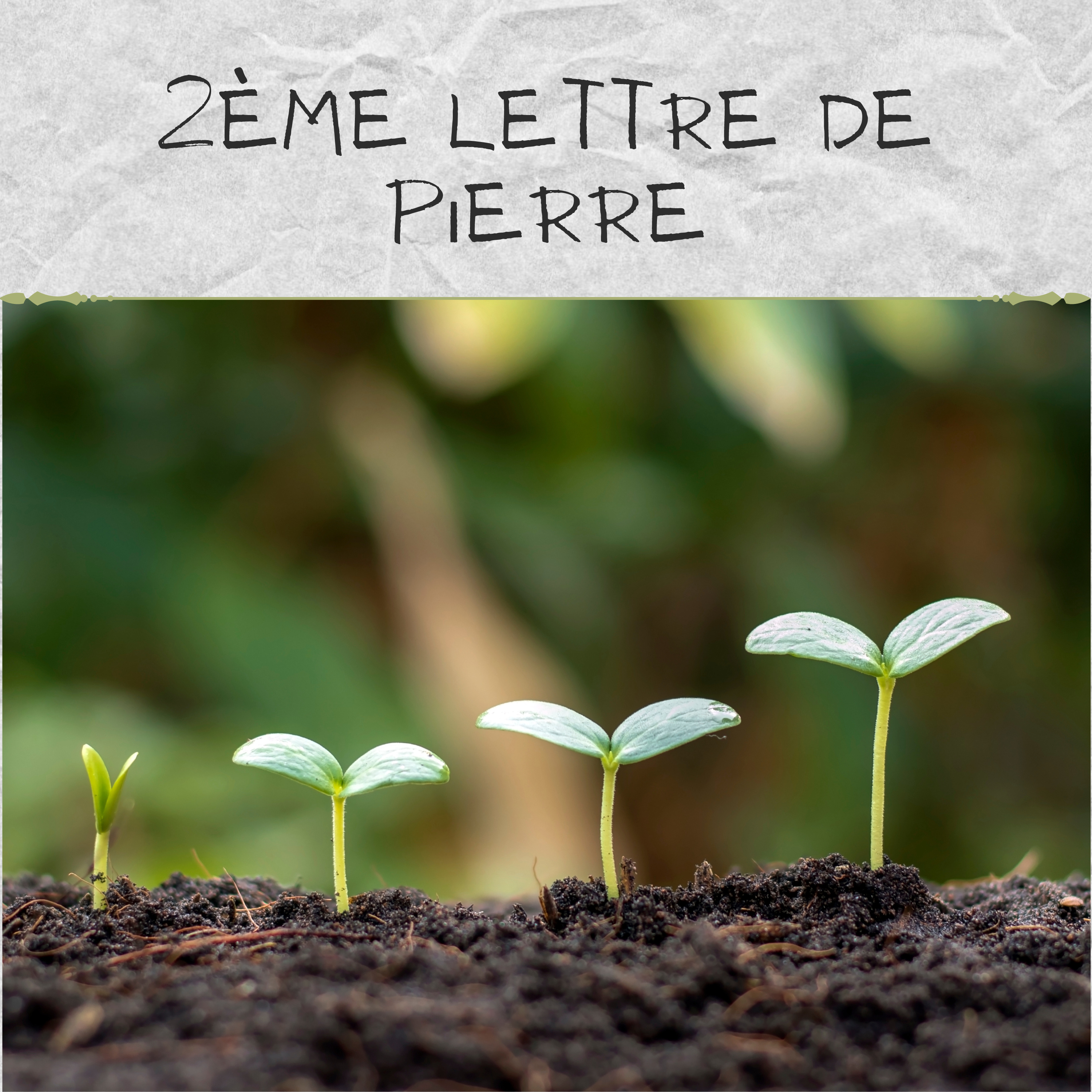 Les Lettres du NT