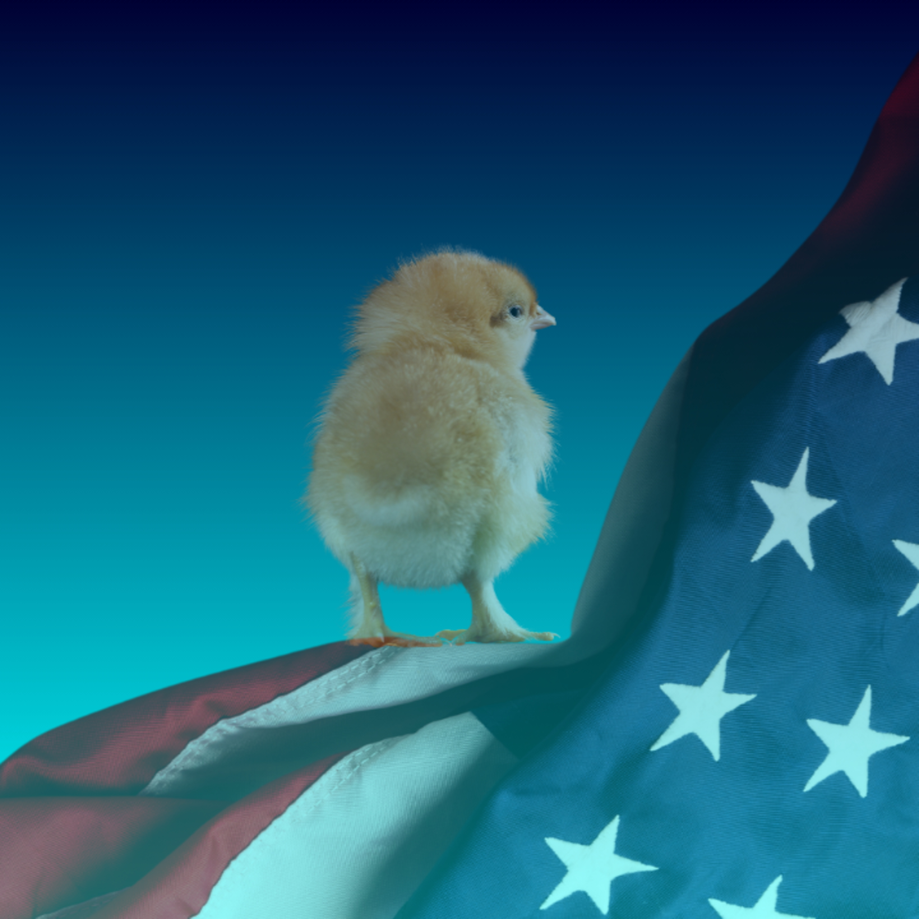 #LiczbyDnia: USA brakuje jaj, mWIG i sWIG z rekordami, 10 próba bitcoina i strategia Orange episode artwork