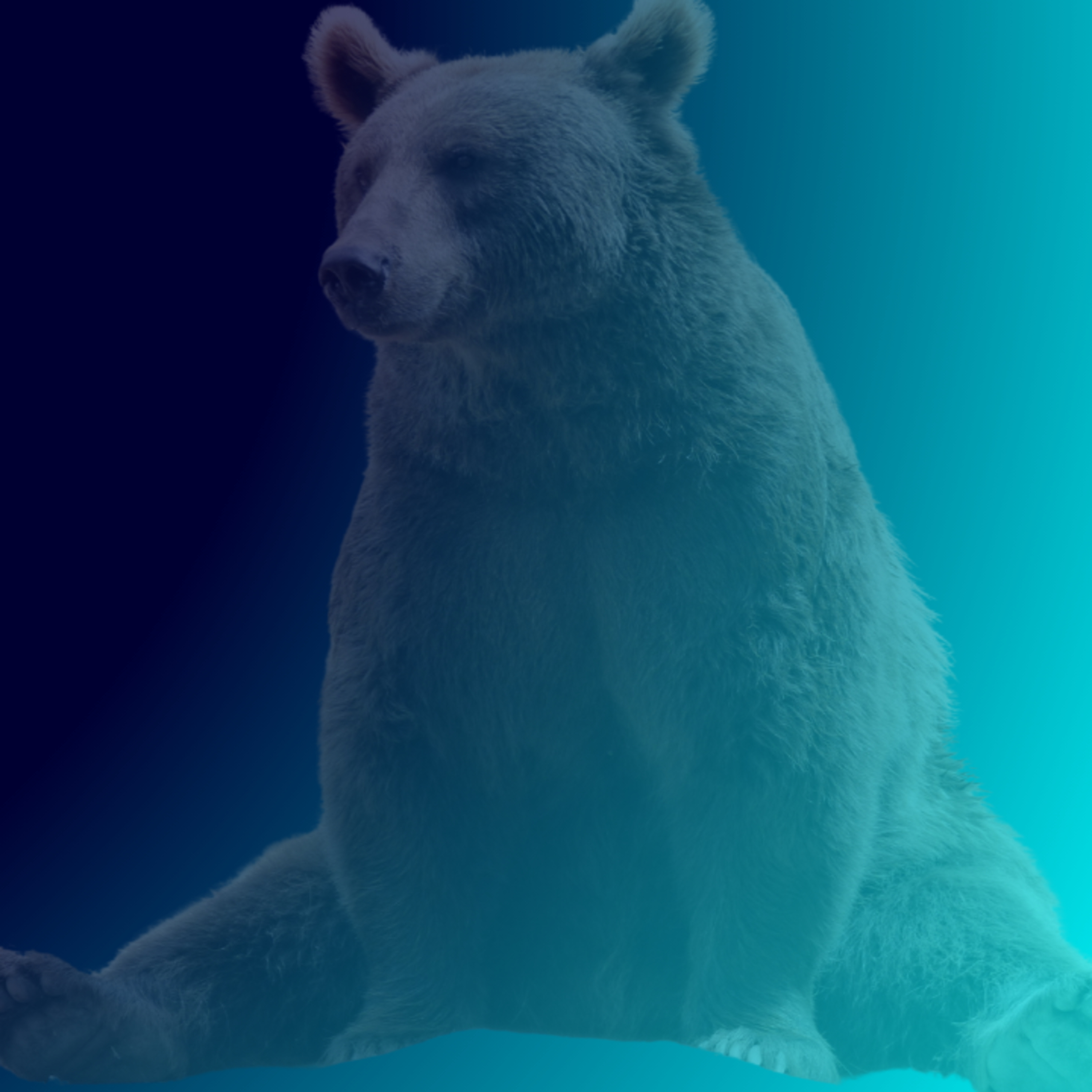 #LiczbyDnia: Pepco i Mobruk zawiodły, Asbis w górę, bitcoin w z rekordem cenowym episode artwork