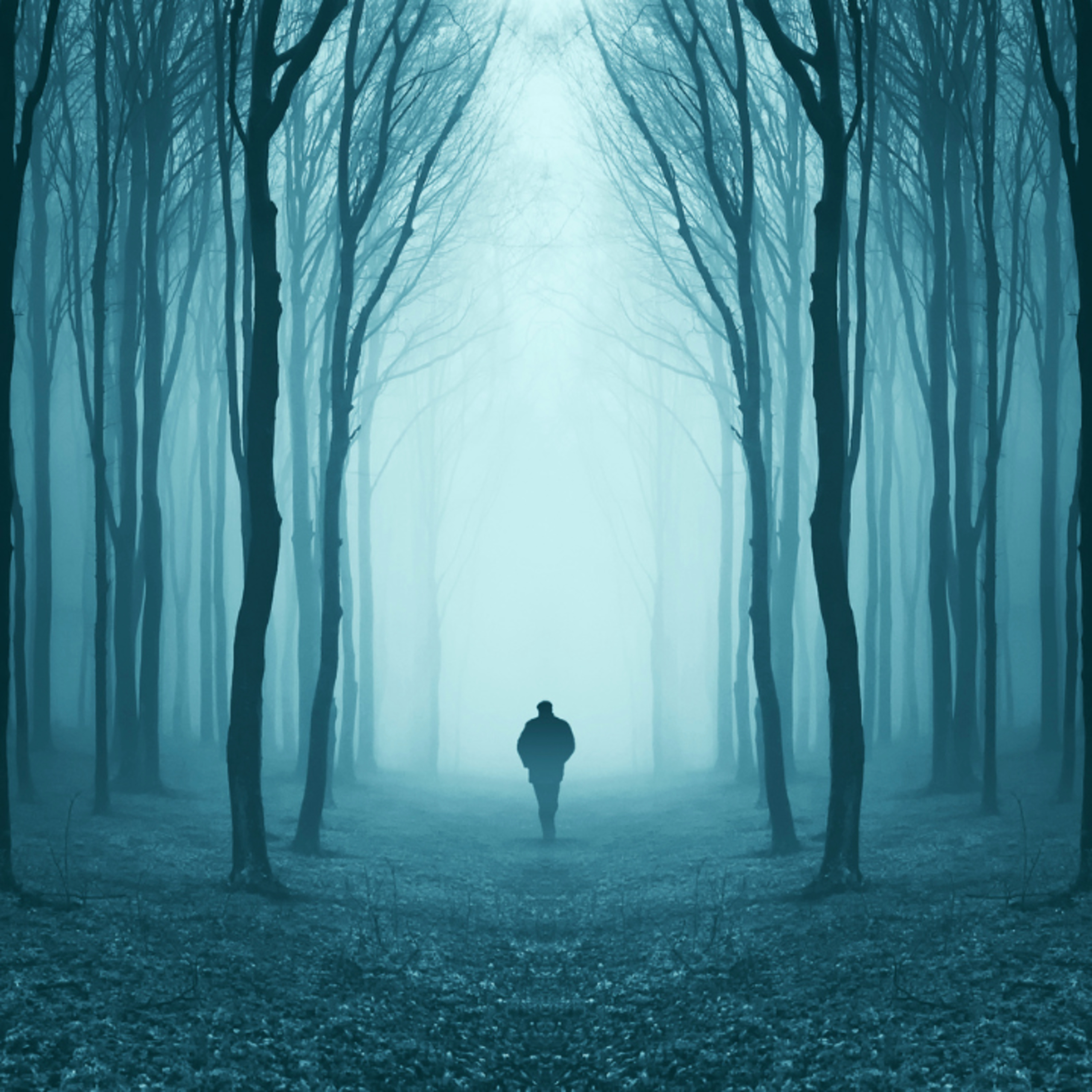 #LiczbyDnia: Straszenie krachem, siła energetyków, cięcie stóp, rekordowy shutdown #LiczbyDnia: Straszenie krachem, siła energetyków, cięcie stóp, rekordowy shutdown